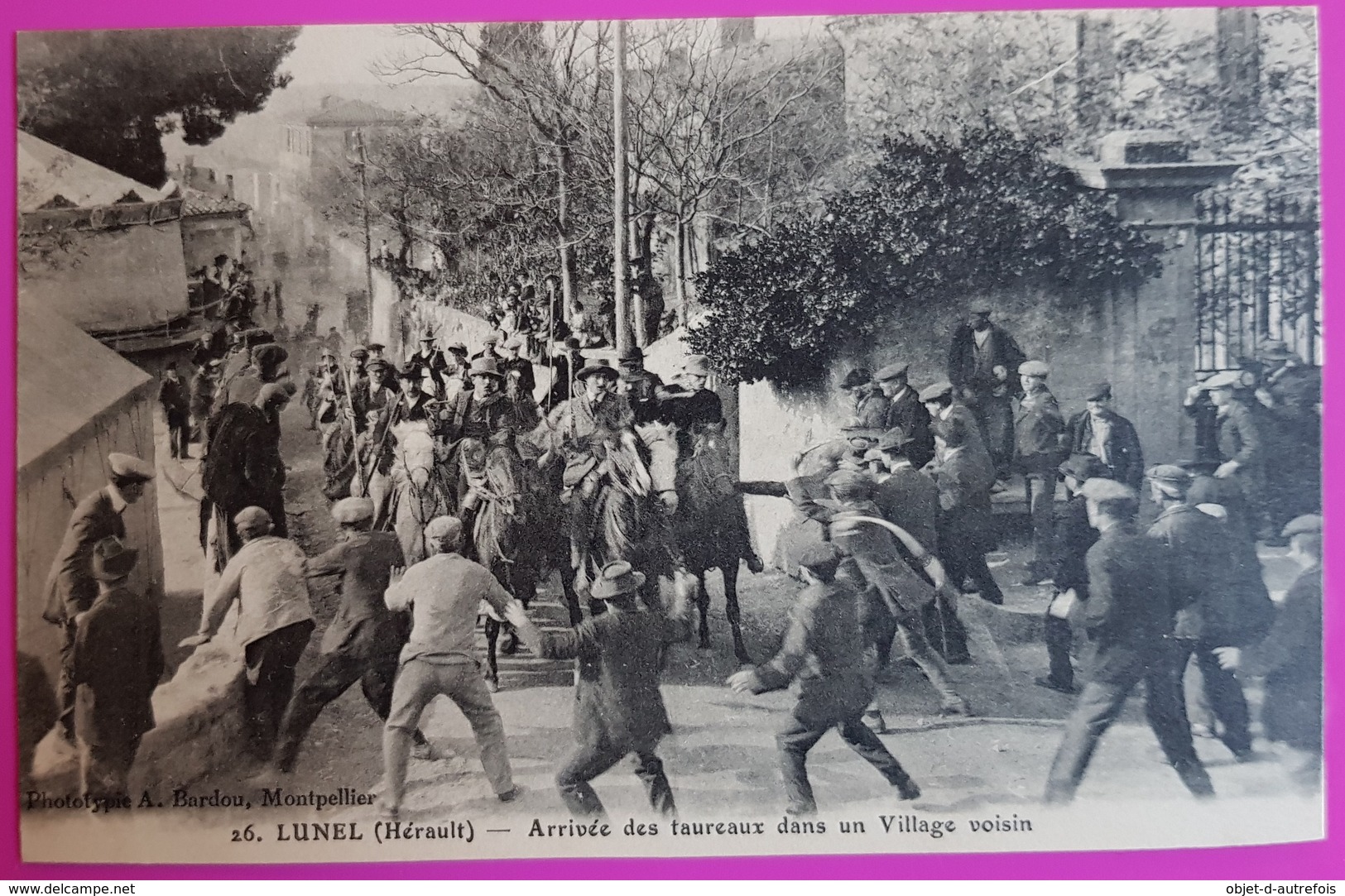 Cpa Lunel Arrivée Taureaux Dans Village Voisin Gallargues Carte Postale 34 Hérault Course - Lunel