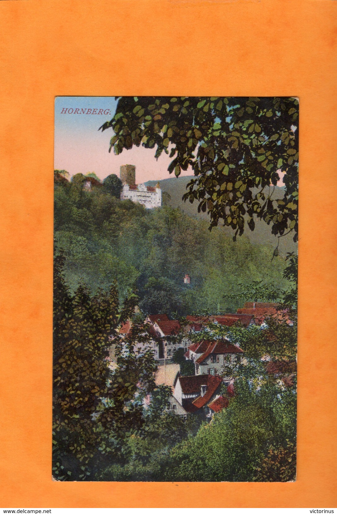 HORNBERG  -  VUE GENERALE  -   Août 1915 - Hornberg