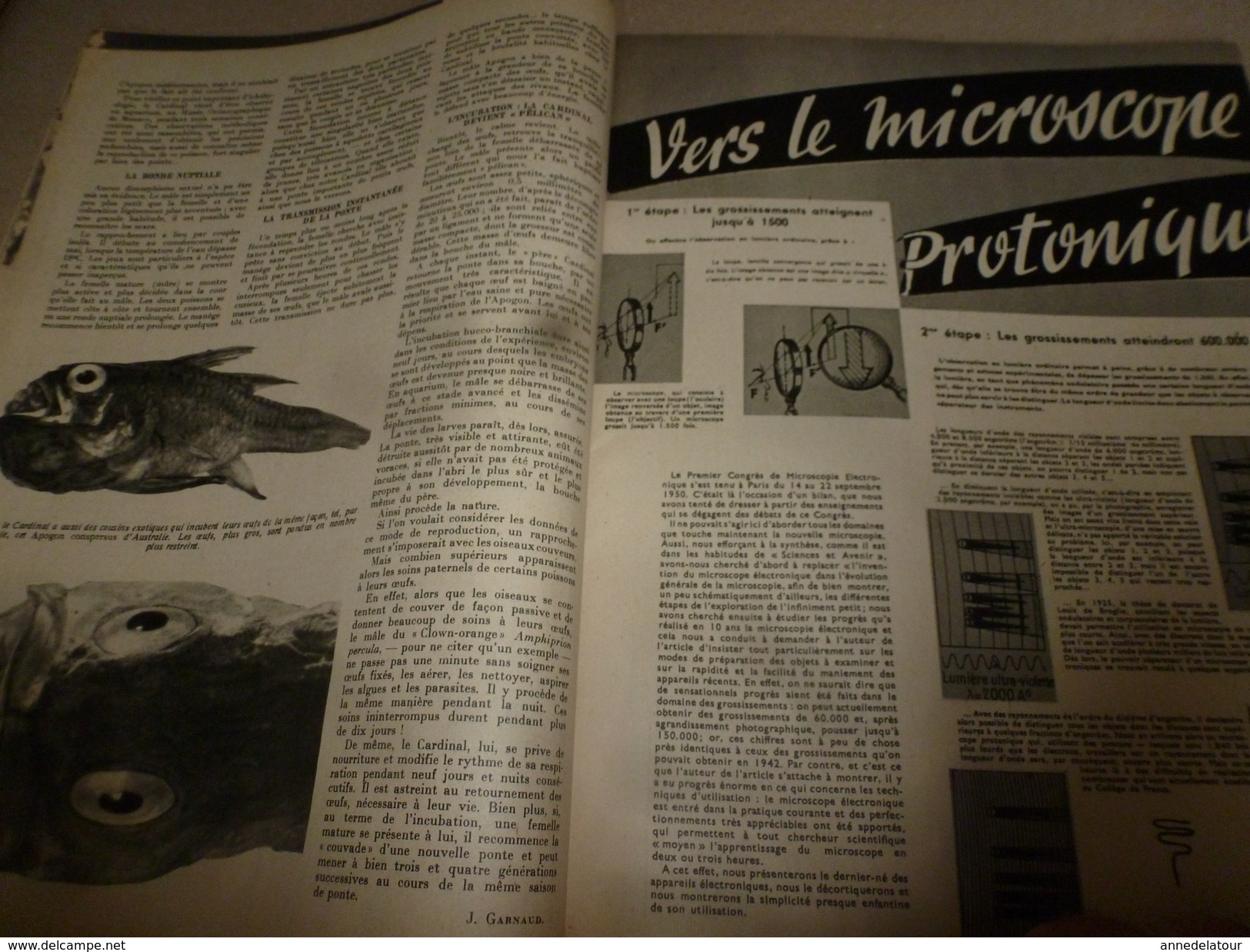1951 SETA  : Les Chefs-d'oeuvres Des Gauchers; Energie Atomique; Paris -Catacombes; Paléontologie ; Etc - Science