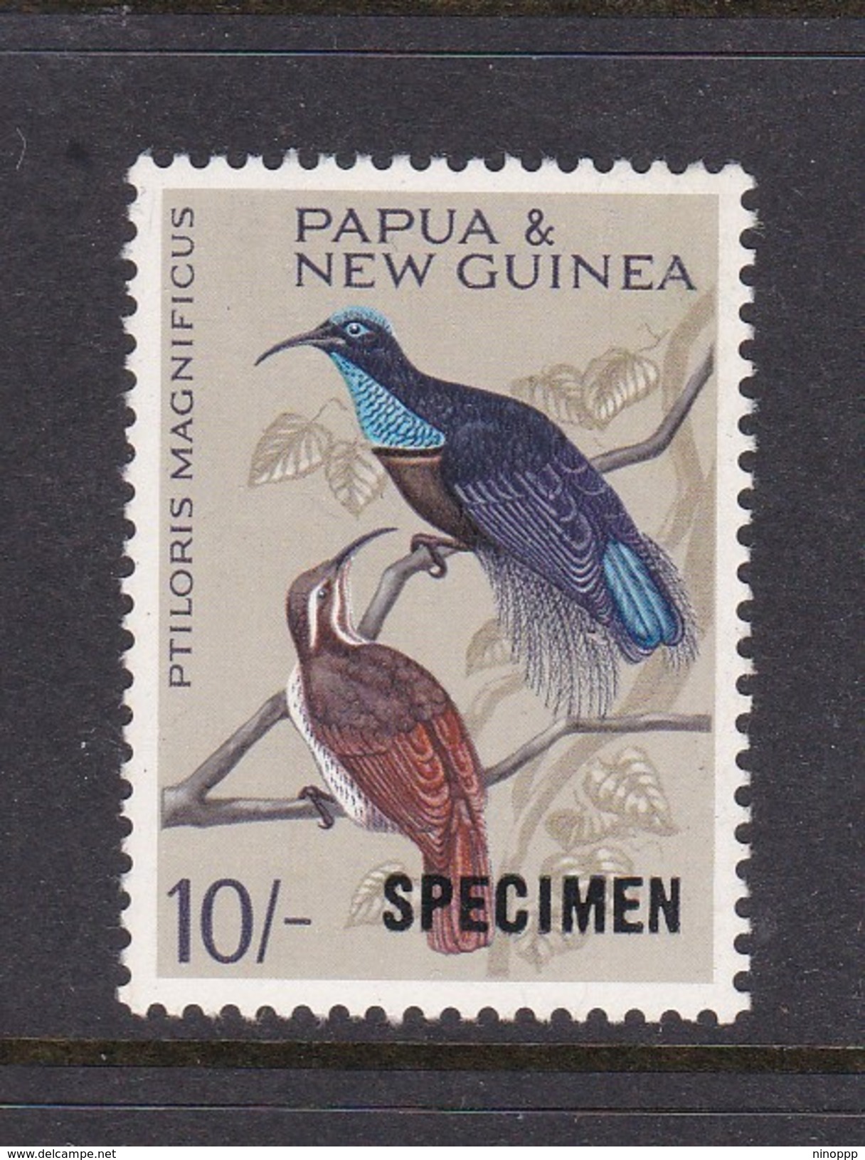 Papua New Guinea SG 71 1964-65 Birds  ,10sh Magnificent Riflebird,Overprinted SPECIMEN, Mint Never Hinged - Papua New Guinea