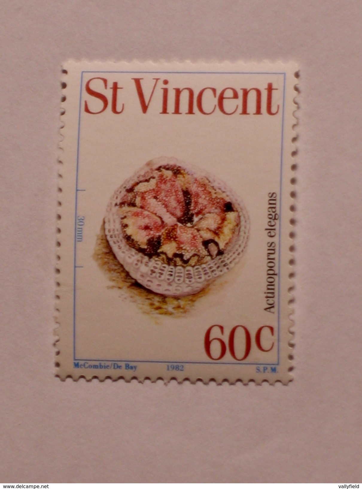 ST-VINCENT  1983   LOT# 6   ANEMONES - St.Vincent (1979-...)