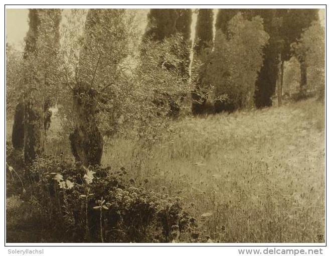 1920 Ca. FOTOGRAF&Iacute;A: WUNDERLICH: CONJUNTO DE DOS FOTOGRAFIAS DE CORDOBA. 18 X 24 Cm.... - Unclassified