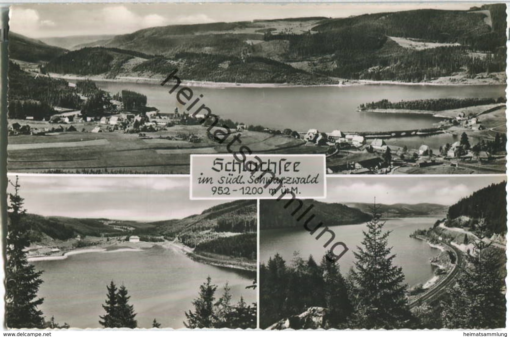 Schluchsee - Foto-Ansichtskarte - Schluchsee