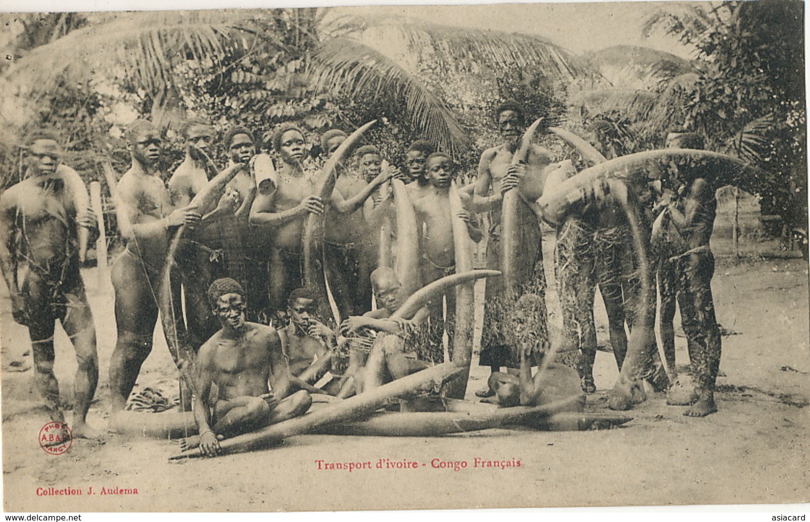 Congo Français  Transport Ivoire Hommes Nus Ivory Transport Elephant Killing - Frans-Kongo