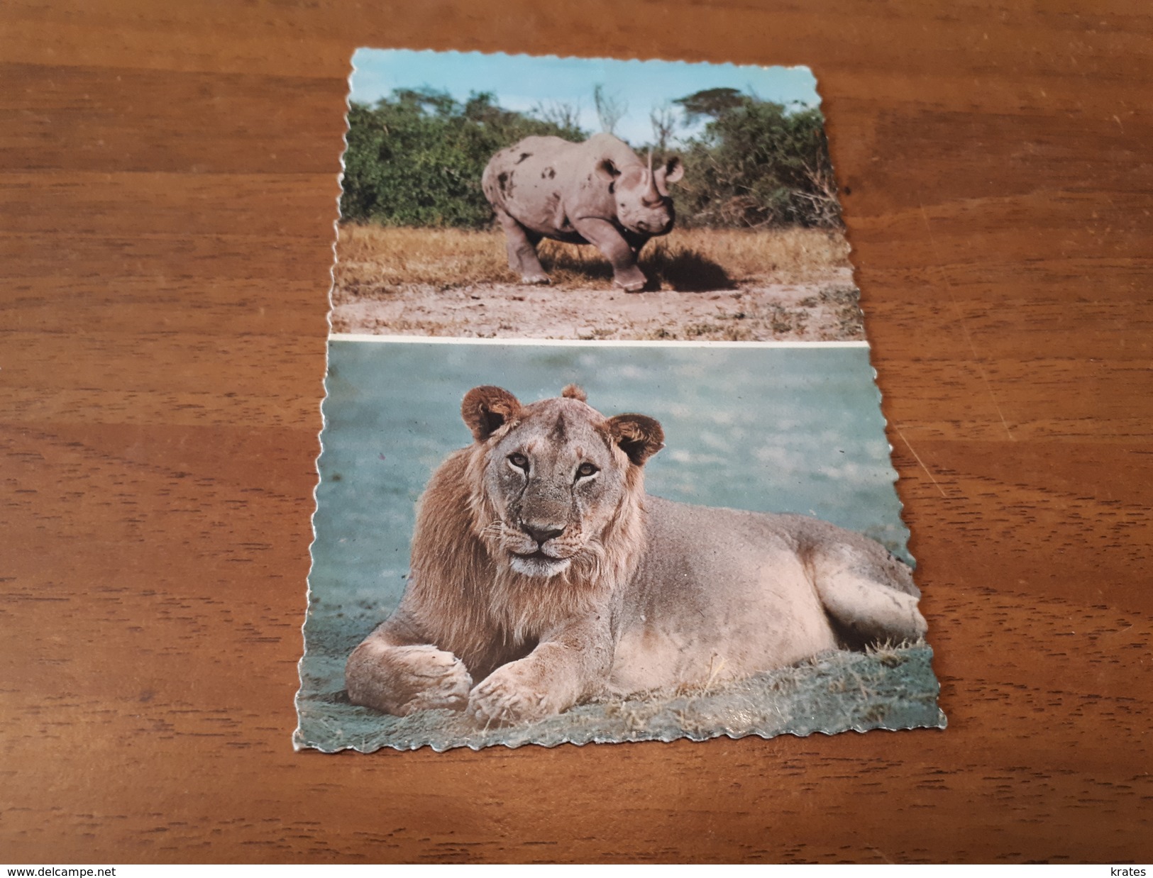 Postcard - Uganda     (V 31596) - Ouganda