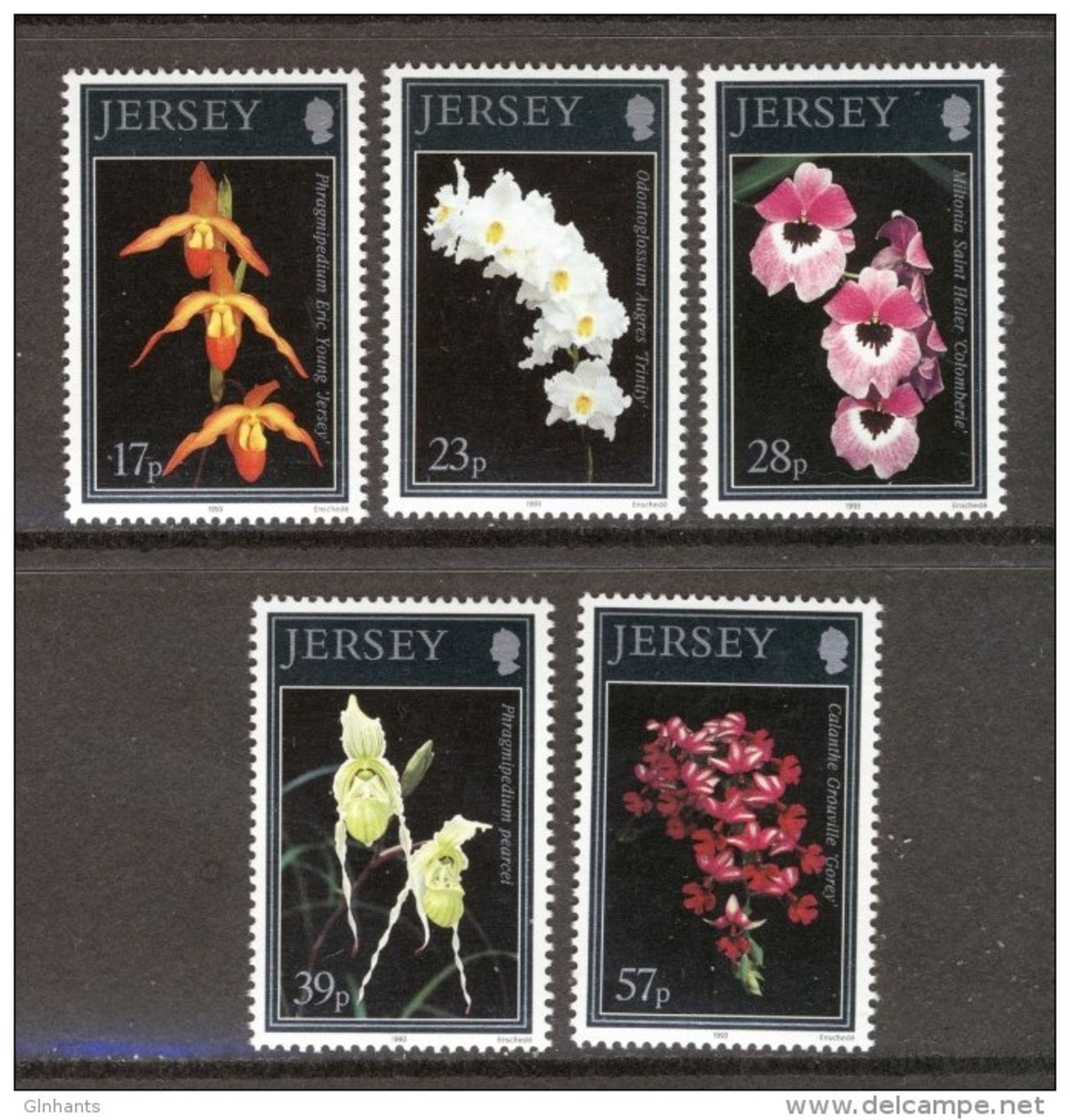 GB JERSEY - 1993 ORCHIDS SET (5V) SG 613-617 FINE MNH ** - Jersey