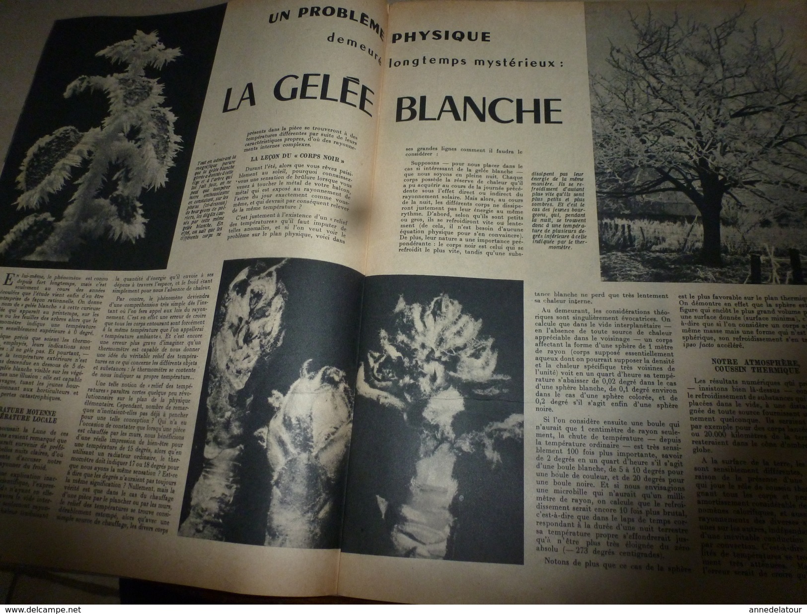 1951 SETA :Génétique Et Biologie De La Femme; Archéologie Sous-marine ; Les Coraux; Etc - Science