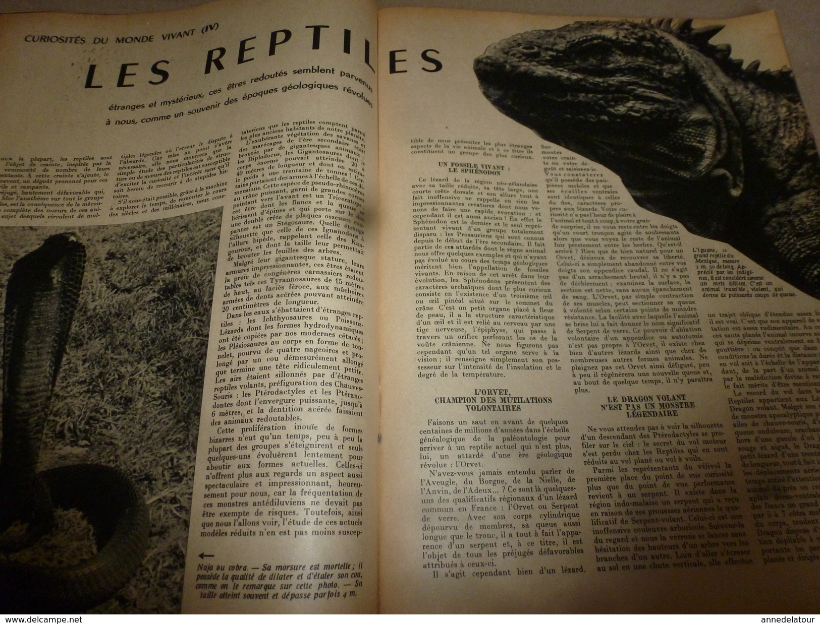 1952 SETA :Les REPTILES; Pétrole en France (Lacq, St-Marcet,,etc);AUTOROUTES (Marseilles, Rocquencourt,etc)