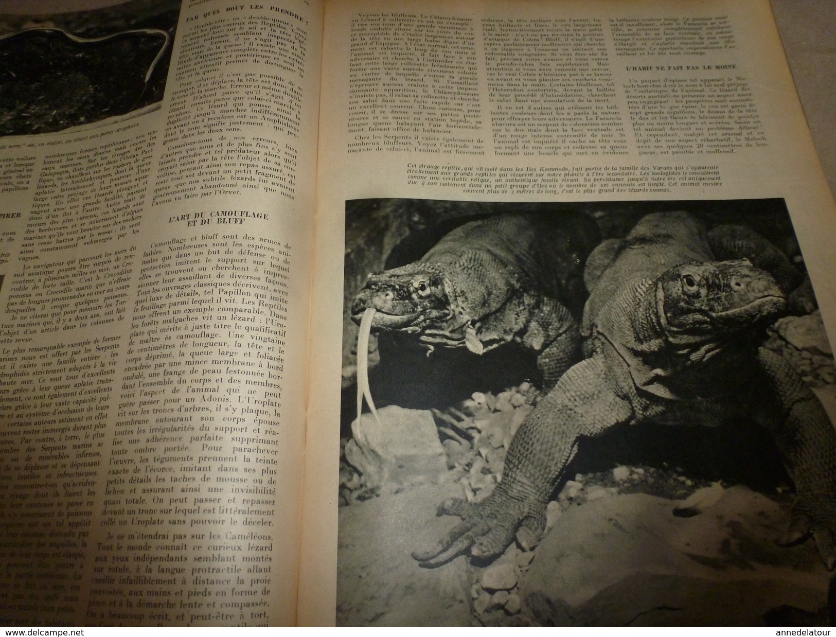 1952 SETA :Les REPTILES; Pétrole en France (Lacq, St-Marcet,,etc);AUTOROUTES (Marseilles, Rocquencourt,etc)