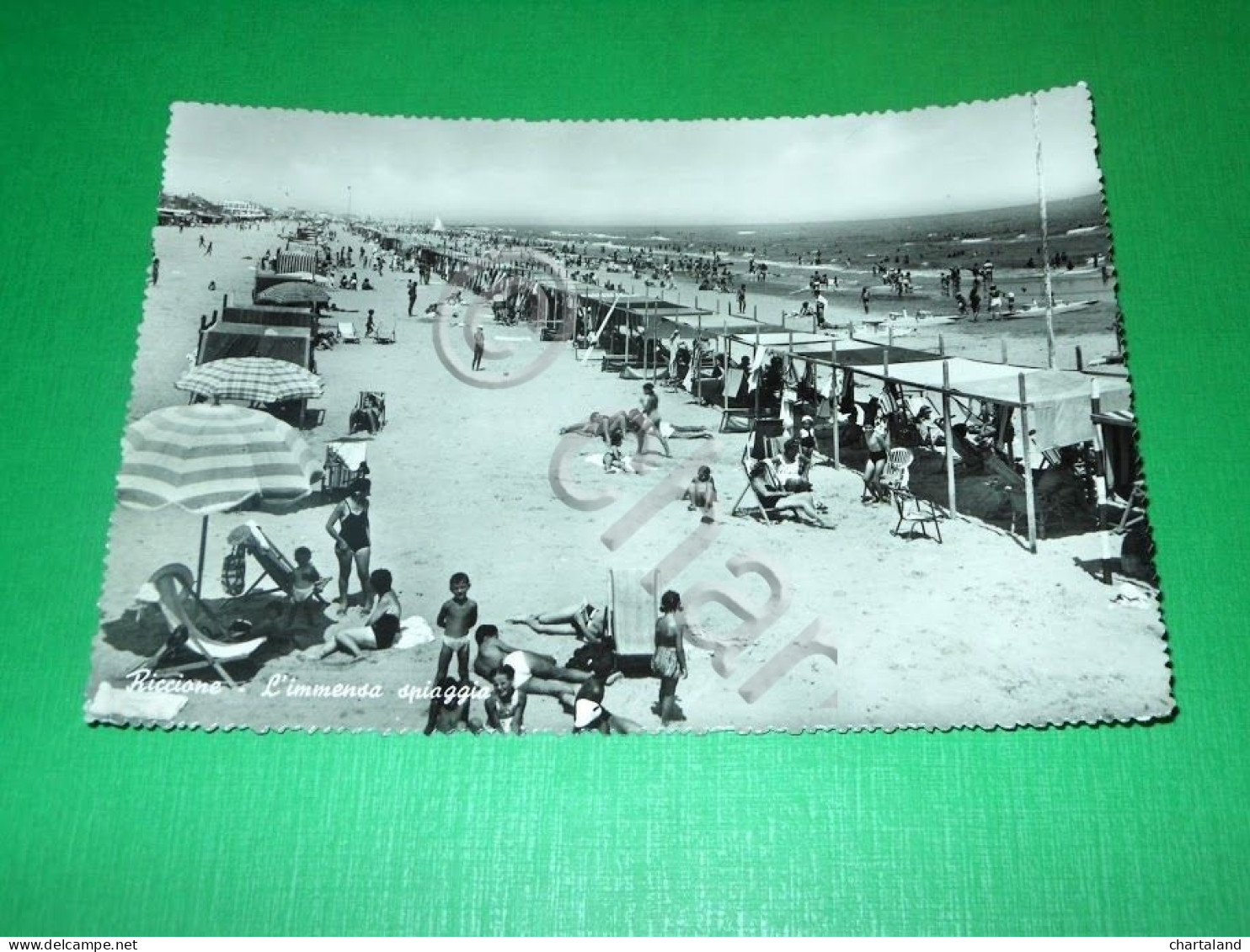 Cartolina Riccione - L' Immensa Spiaggia 1956. - Rimini