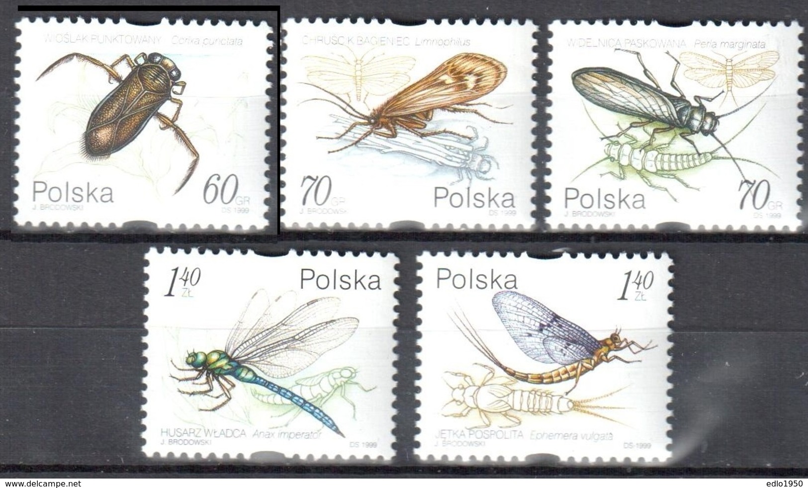 Poland 1999 - Insects  Mi. 3781-85 - 5v- MNH (**) - Postfrisch - Nuovi