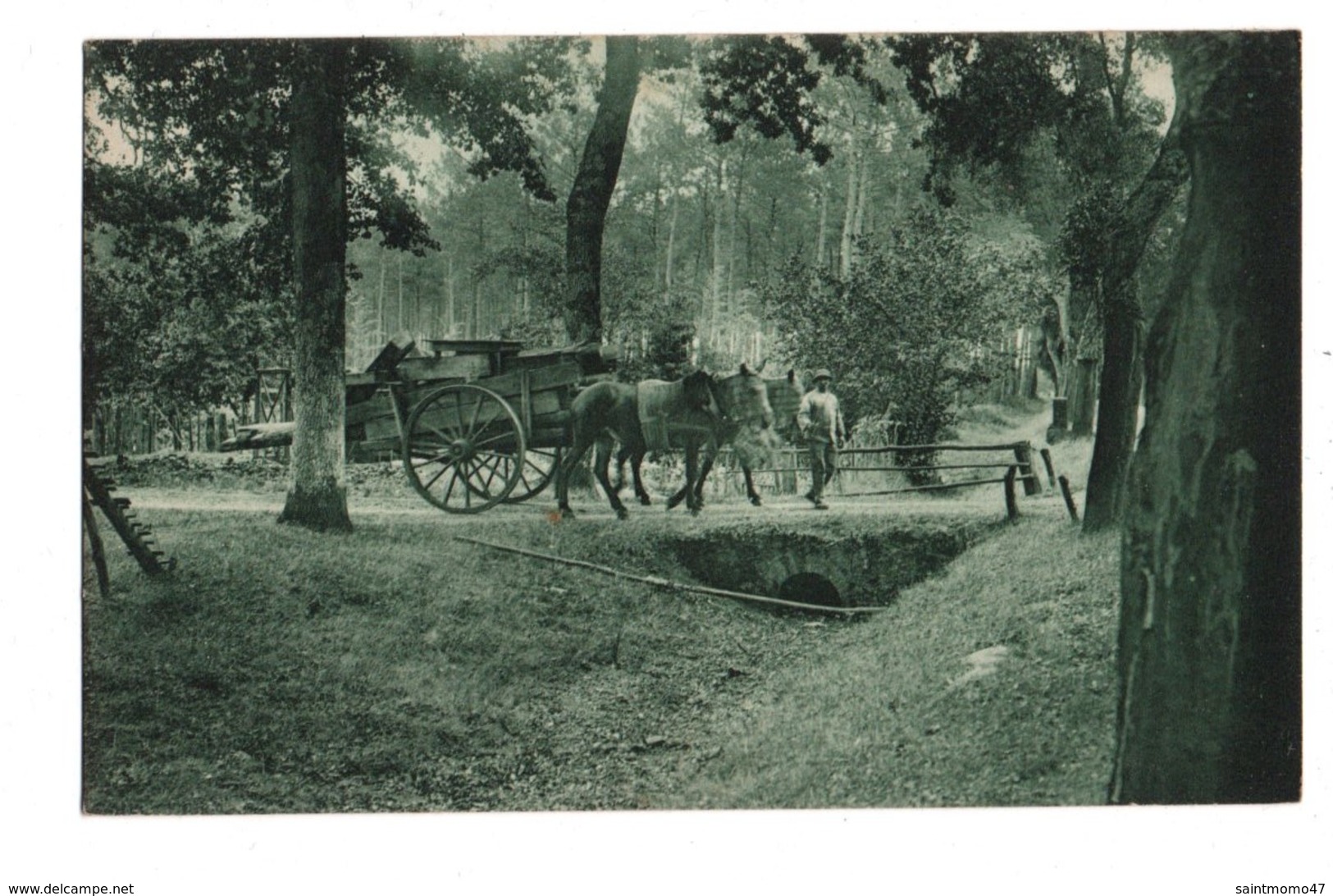 40 -  ENVIRONS DE BISCAROSSE . PAYSAGE LANDAIS. ATTELAGE - Réf. N°2980 - - Biscarrosse