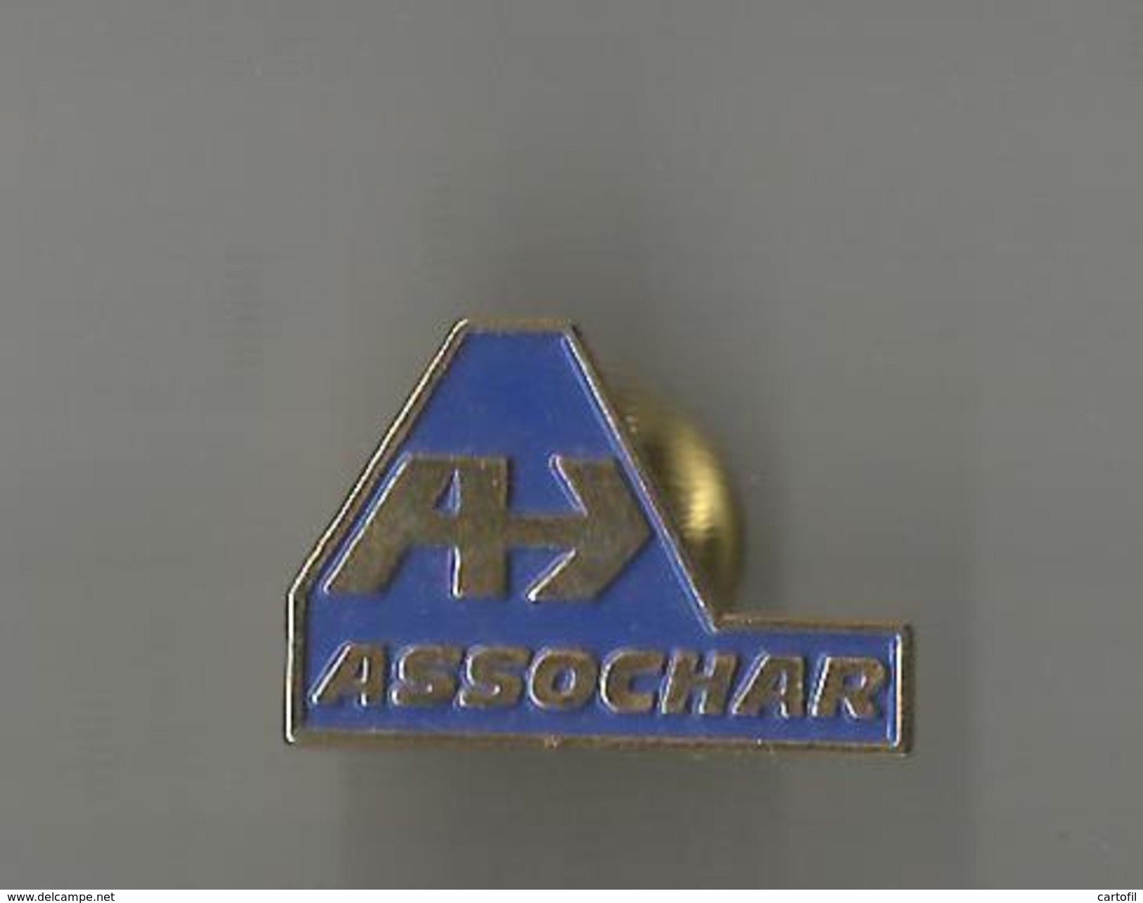 Pin´s Assochar (transports) - Transportes