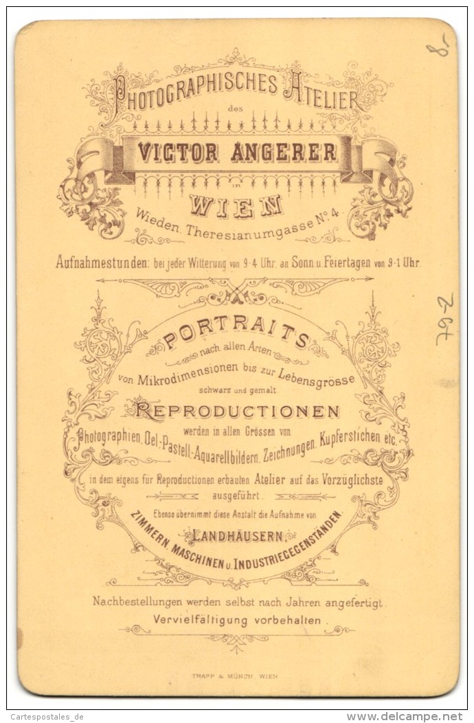 Fotografie Victor Angerer, Wien, Portrait Einer Eleganten Bürgersfrau - Persone Anonimi