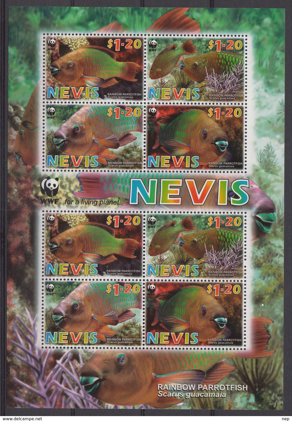 WWF - Domfil - 2007 - NEVIS - Nr 407 (MS) - MNH** - Unused Stamps