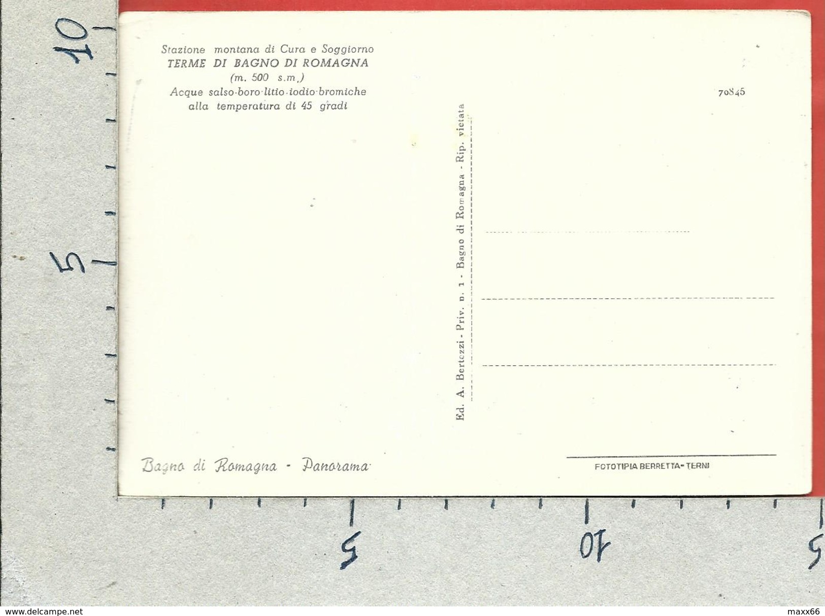 CARTOLINA NV ITALIA - BAGNO DI ROMAGNA (FC) - TERME - Panorama - 10 X 15 - Forlì