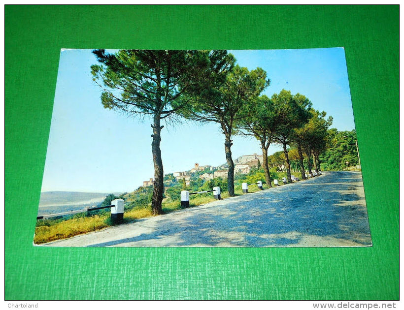Cartolina Verucchio - Veduta Panoramica 1960 Ca. - Rimini
