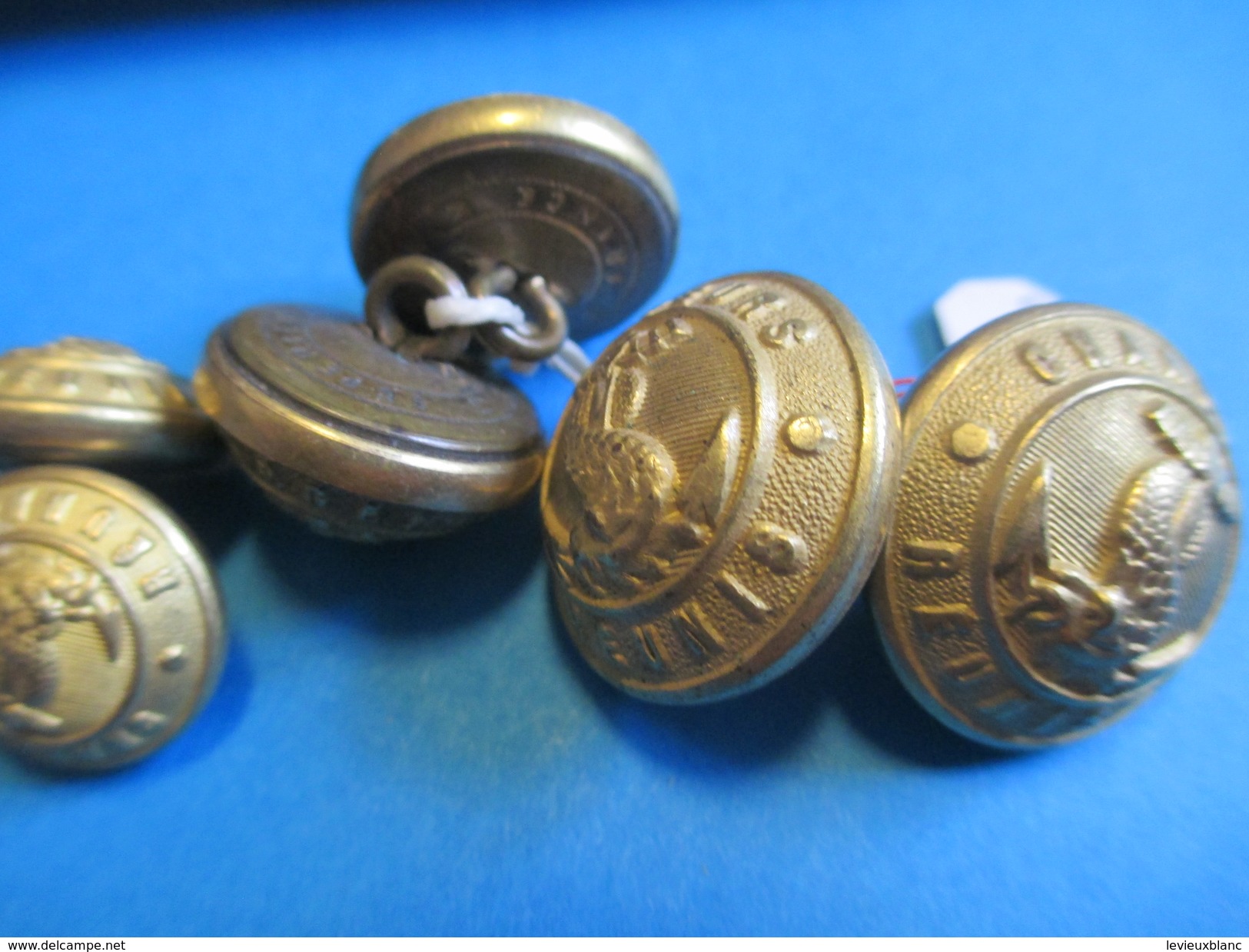 6 Boutons Ancien à Motif Ancre Et Serpent/ Chargeurs Réunis/Doré /A M & Cie/Paris/début XXème Siècle       BOUT59 - Buttons