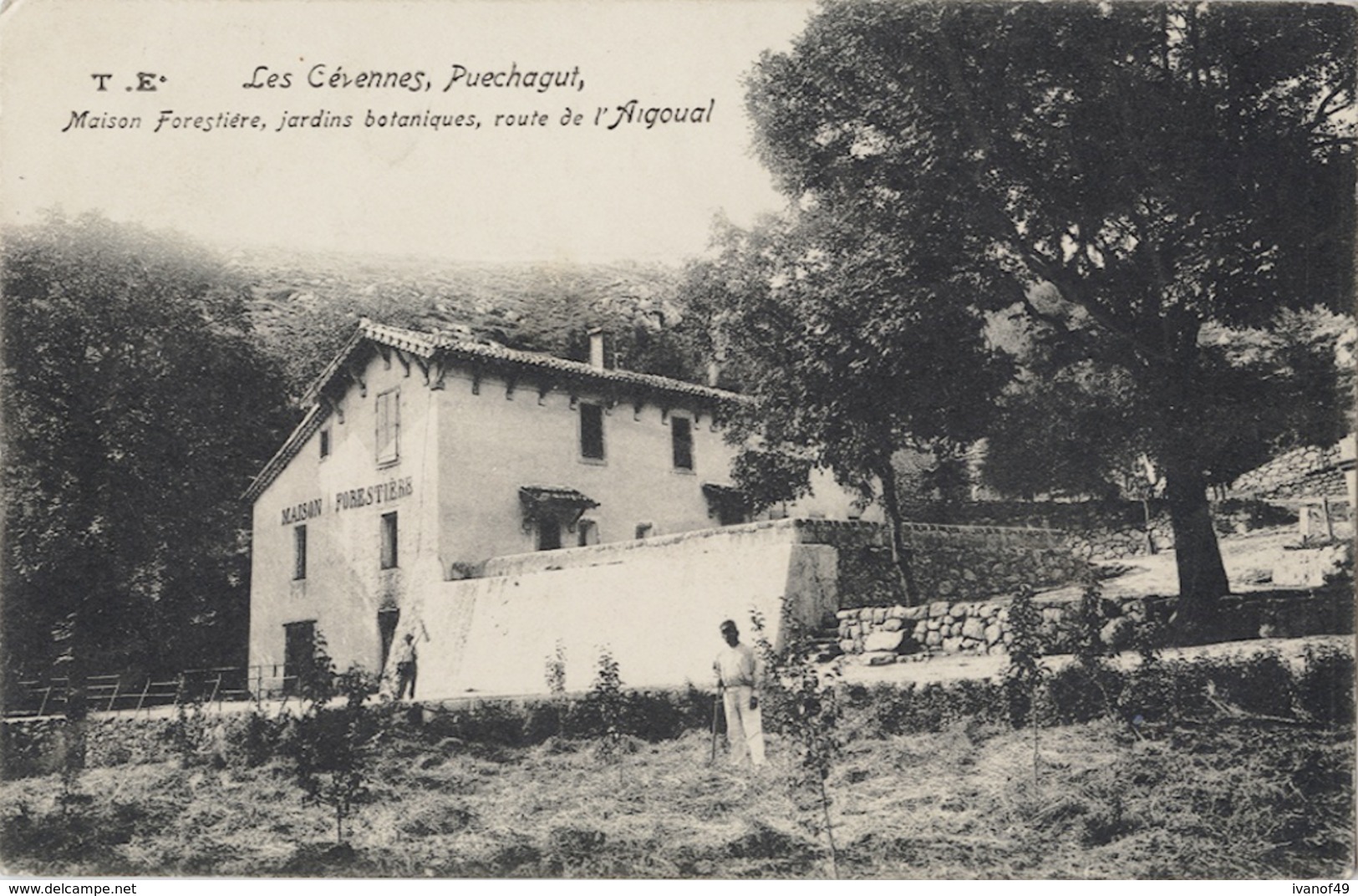 30 - Les Cévennes, PUECHAGUT - CPA - Maison Forestière, Jardins Botaniques, Route De L´ Aigoual - 1906 - Other & Unclassified