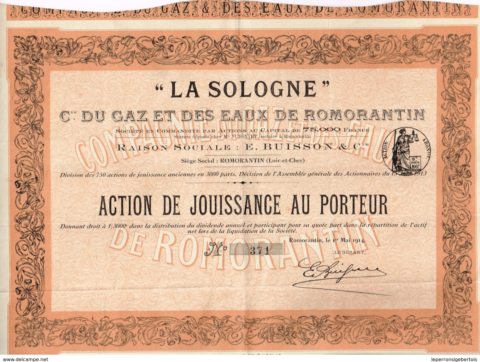 Action Ancienne - La Sologne - Cie Du Gaz Et Des Eaux De R0morantin - Titre De 1914 - Eau