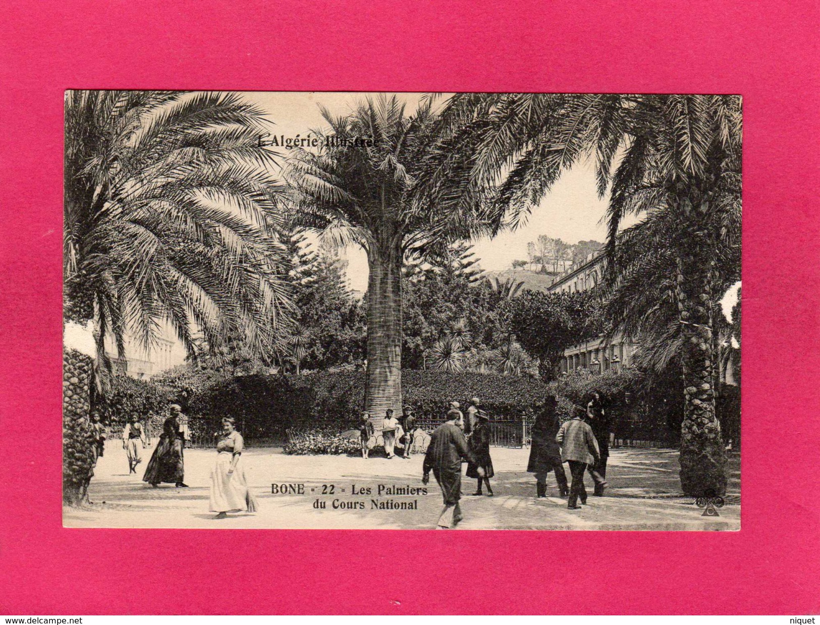 ALGERIE, BONE, Les Palmiers Du Cours National, Animée, (C.C.C. & C.) - Autres & Non Classés