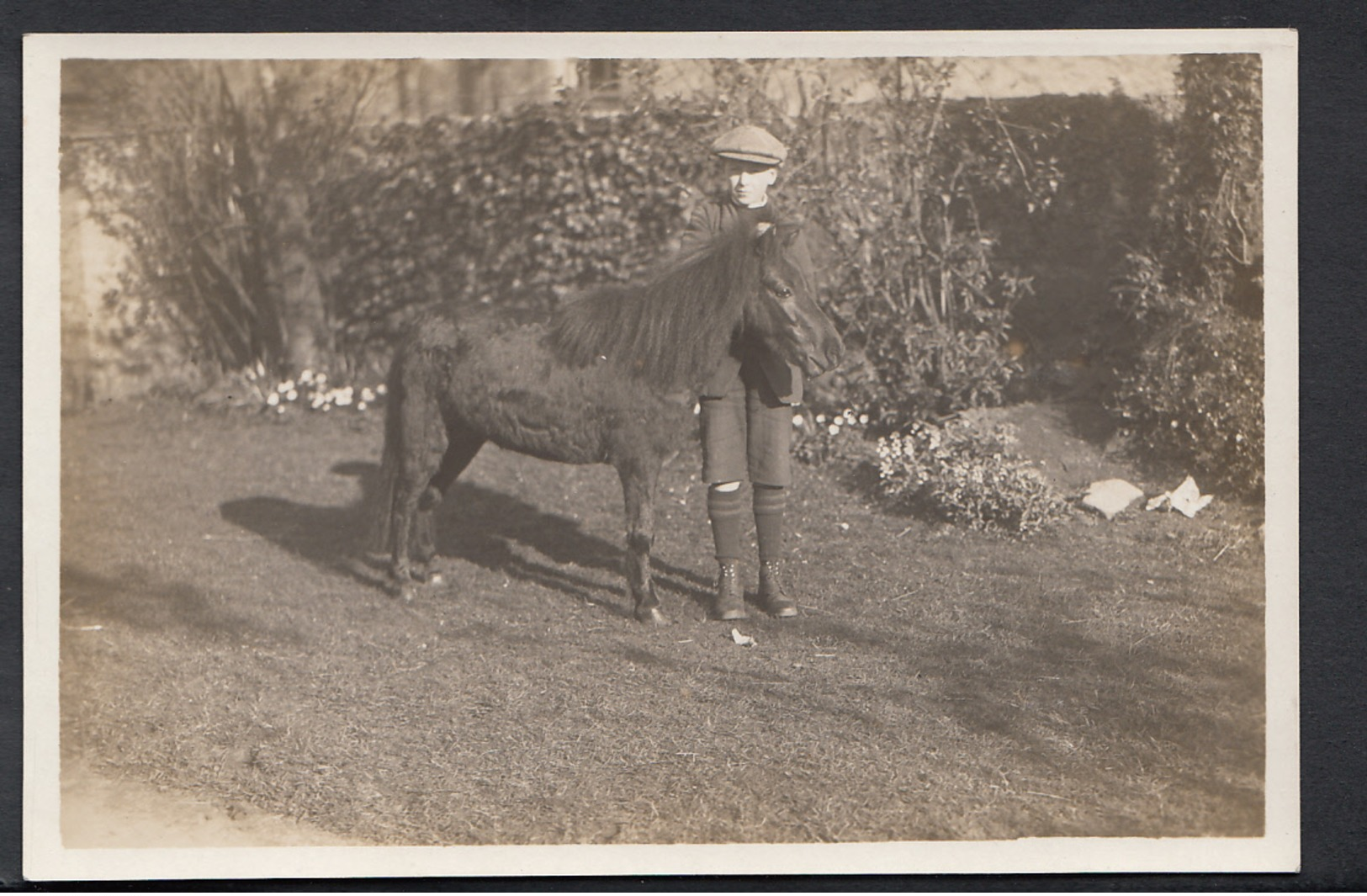 Animals Postcard - Real Photo Of Young Boy With A Miniature Pony DC83 - Horses