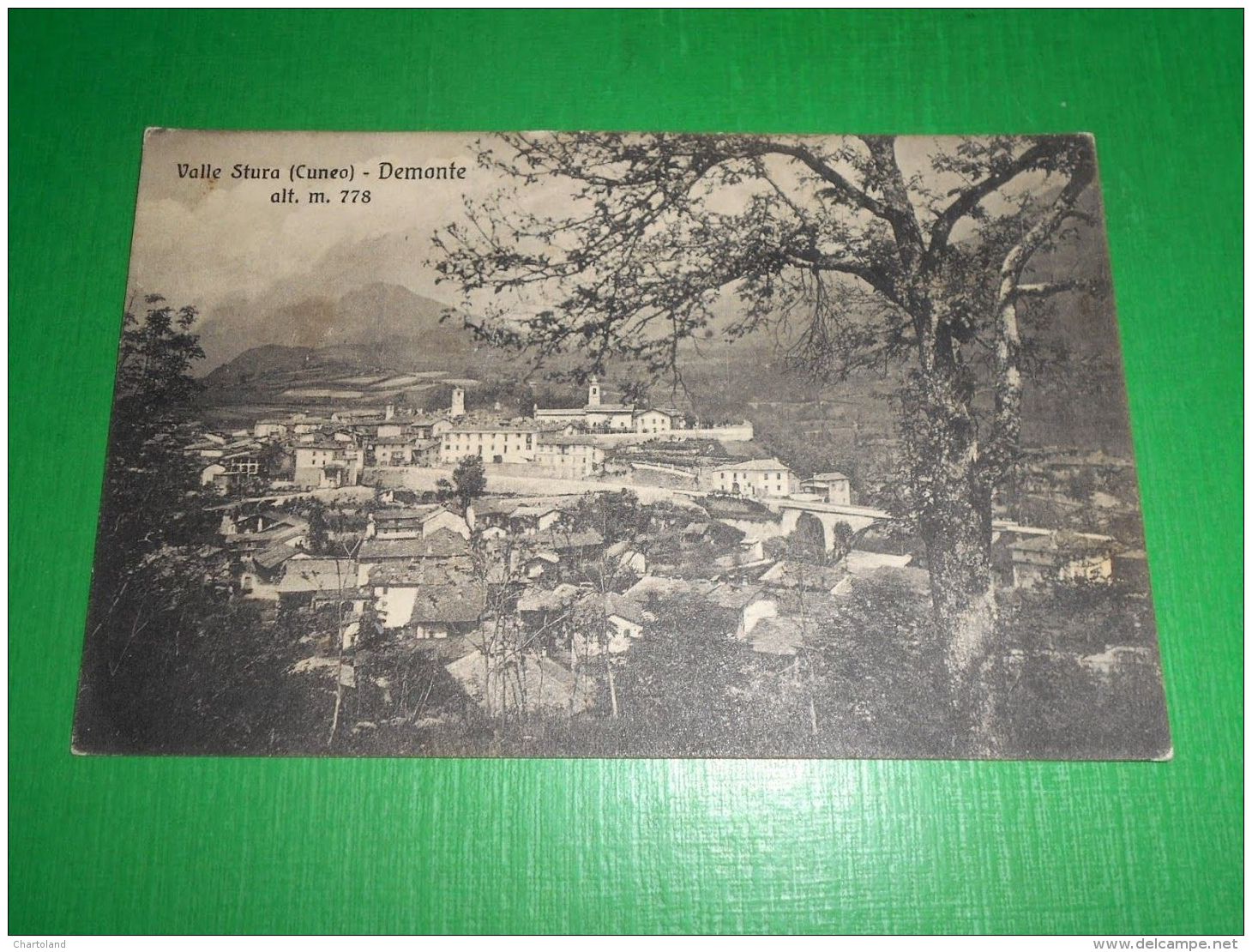 Cartolina Valle Stura ( Cuneo ) - Demonte 1920 Ca - Cuneo