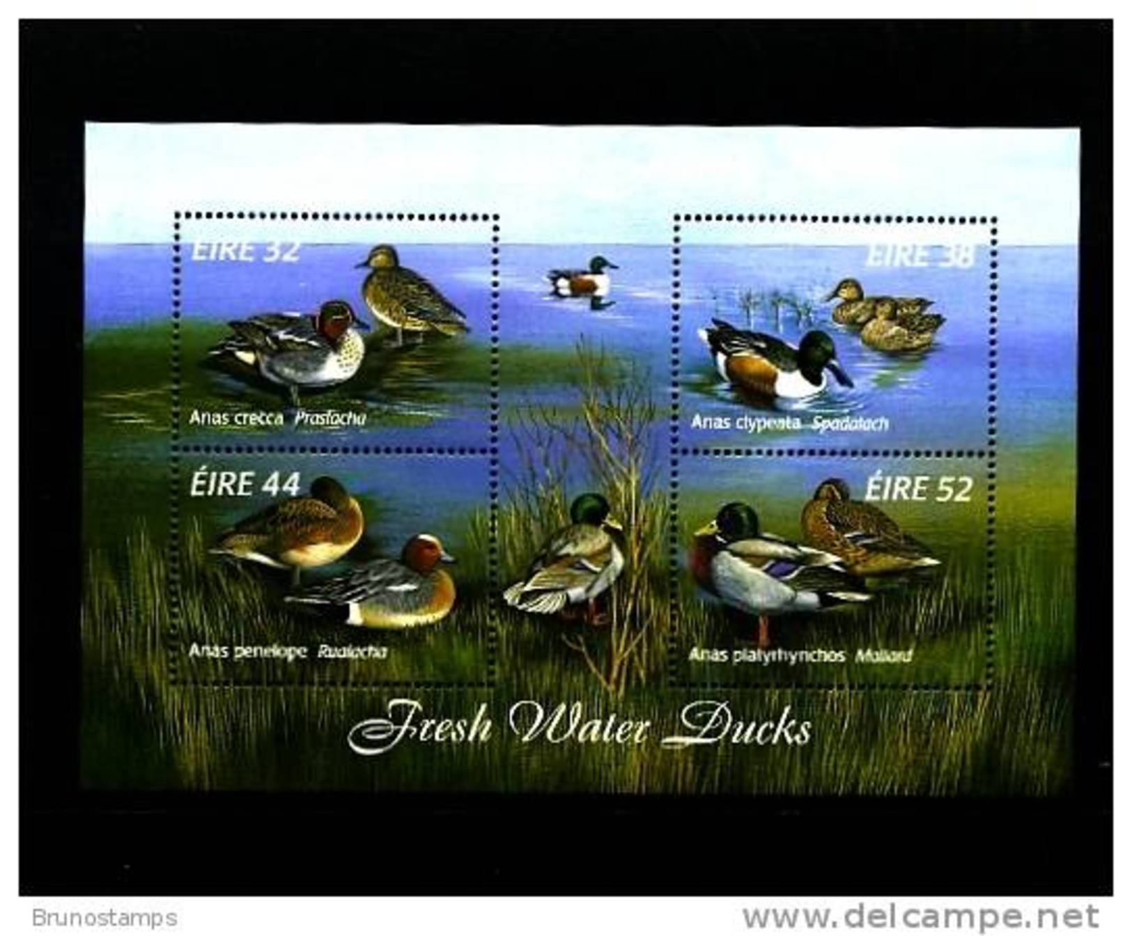 IRELAND/EIRE - 1996  FRESH WATER DUCKS  MS MINT NH - Blocchi & Foglietti