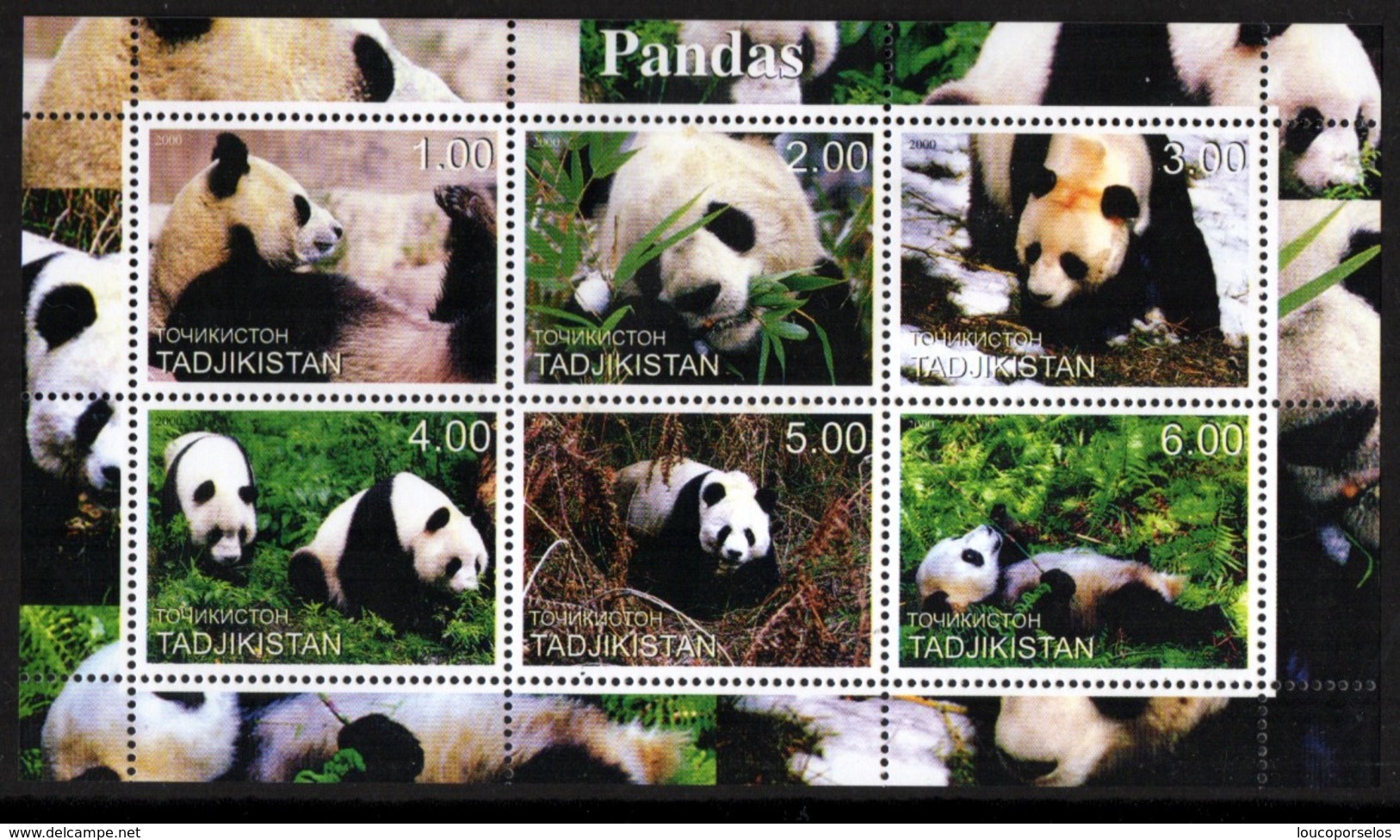 20028 Tadjikistan Bloco Ursos Panda NNN - Tajikistan