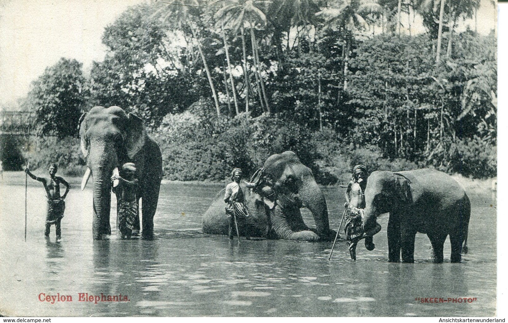 Ceylon Elephants(000468) - Sri Lanka (Ceylon)