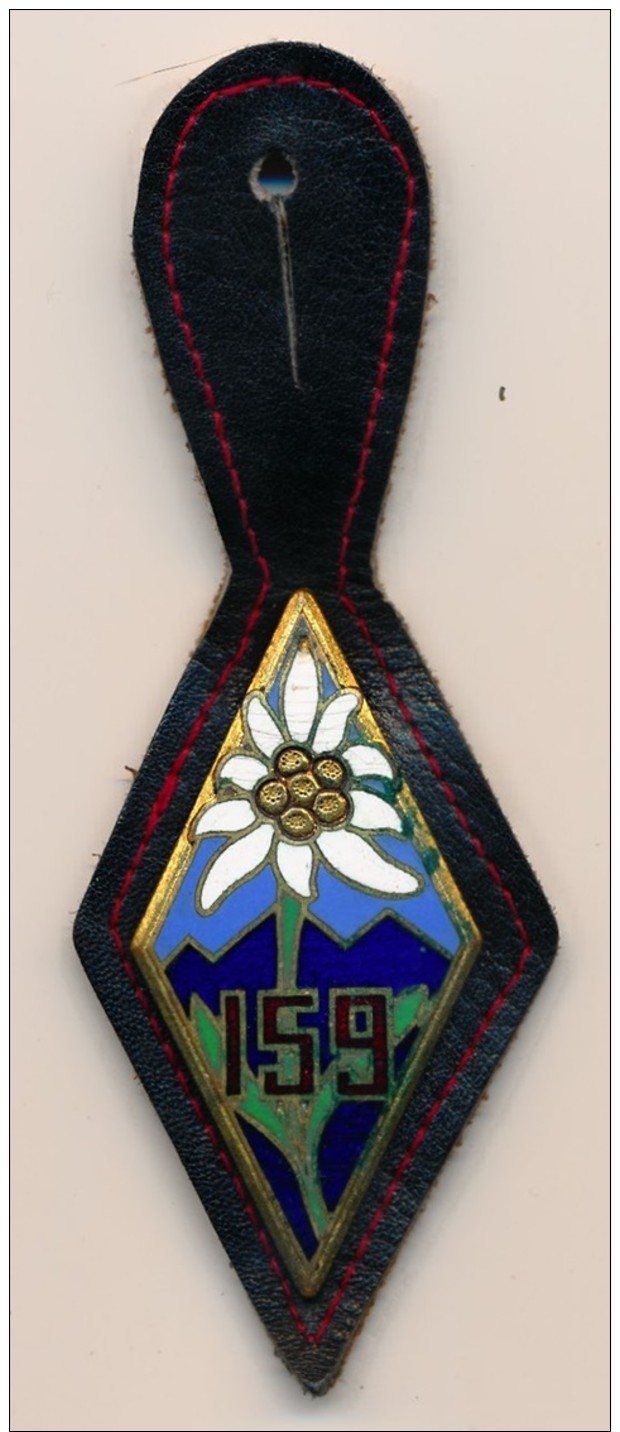 Insigne 159 RIA - Régiment D'Infanterie Alpine De Briançon - 05 - Armée De Terre