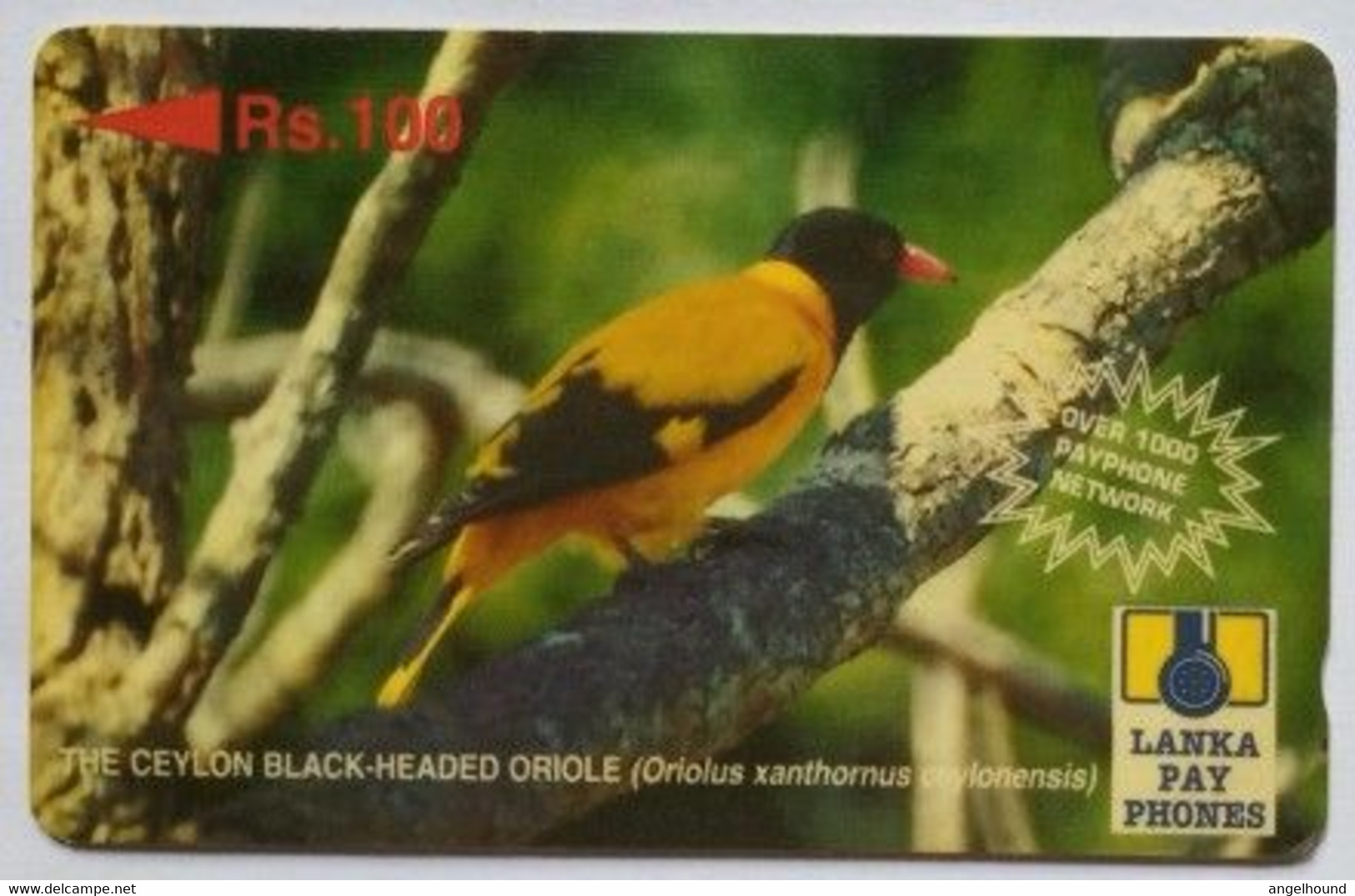 Sri Lanka 32SLRD  Rs 100 Black Headed Oriole ( With Text On The Right "over 1000 Payphone Network") - Sri Lanka (Ceylon)