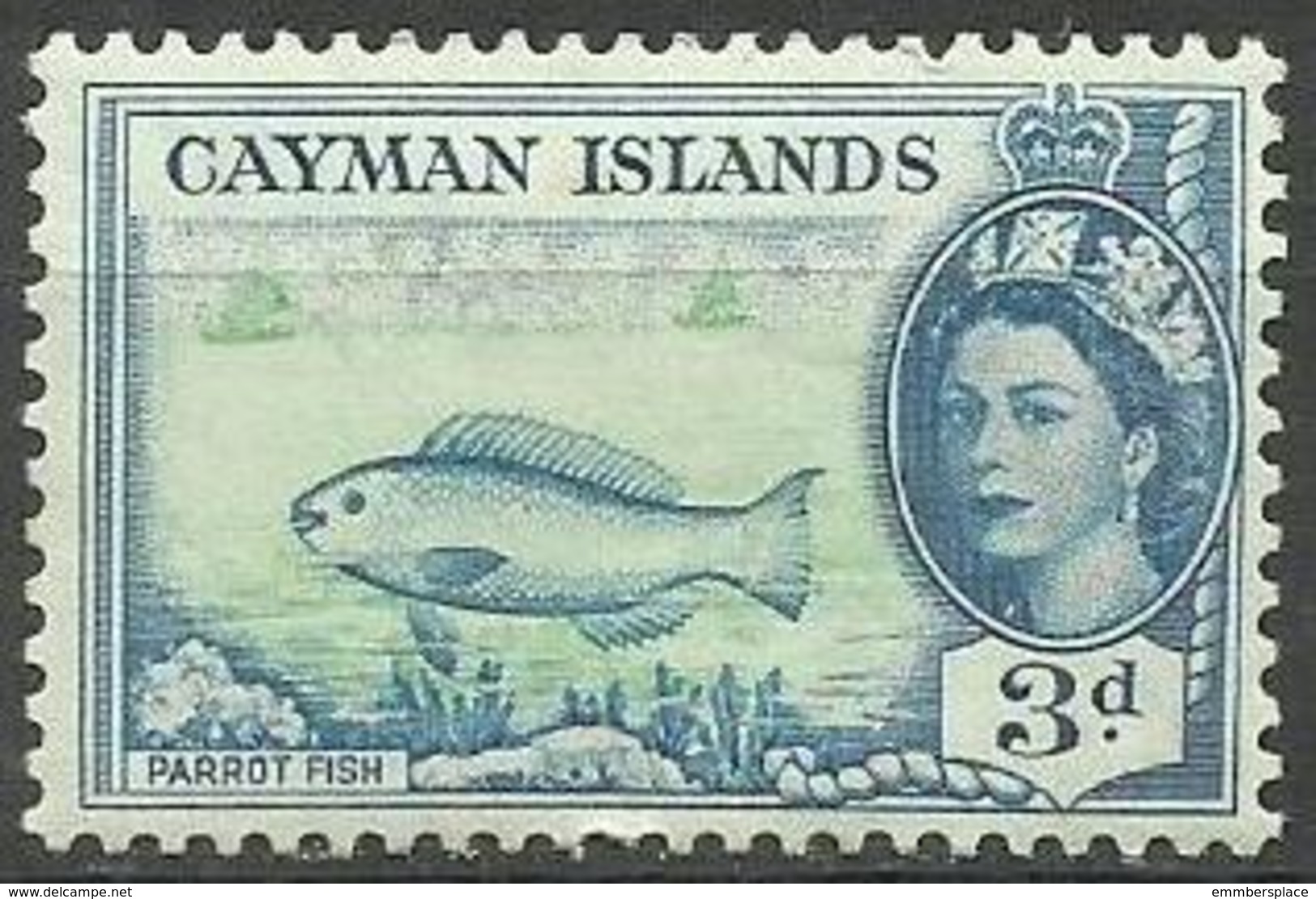 Cayman Islands - 1953 Parrot Fish 3d MH *  Sc 141 - Cayman Islands