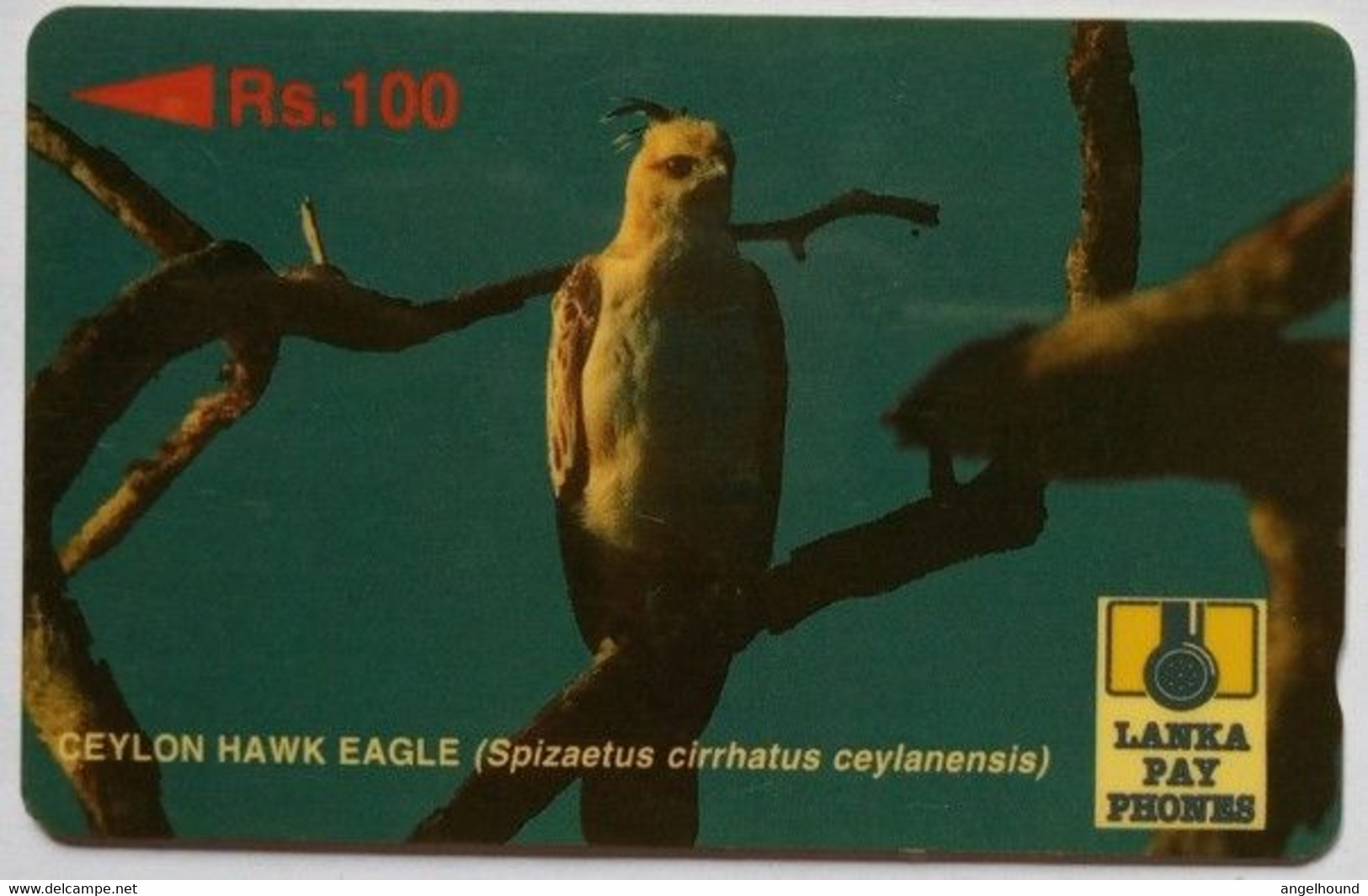 Sri Lanka 23SRLB Rs.100 Ceylon Hawk Eagle - Sri Lanka (Ceylon)