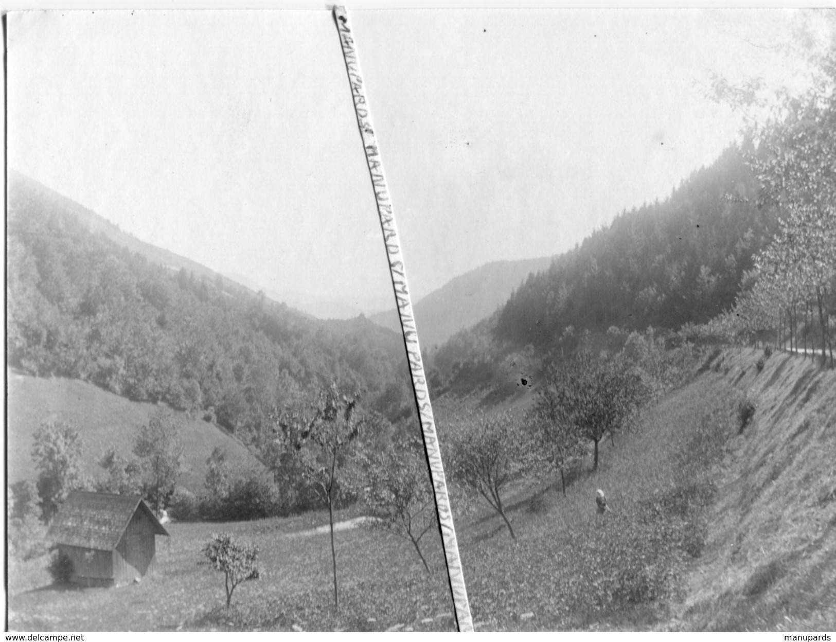 ALLEMAGNE / OPPENAU / ENVIRONS D' ALLERHEILIGEN  / PHOTO / 1898 / FOTO - Oppenau