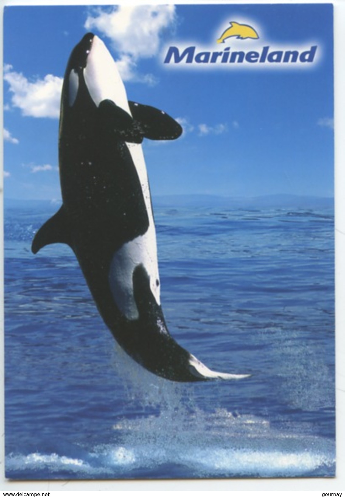 Orque (cétacéa Dauphin) Saut - Antibes : Marineland - Delfines