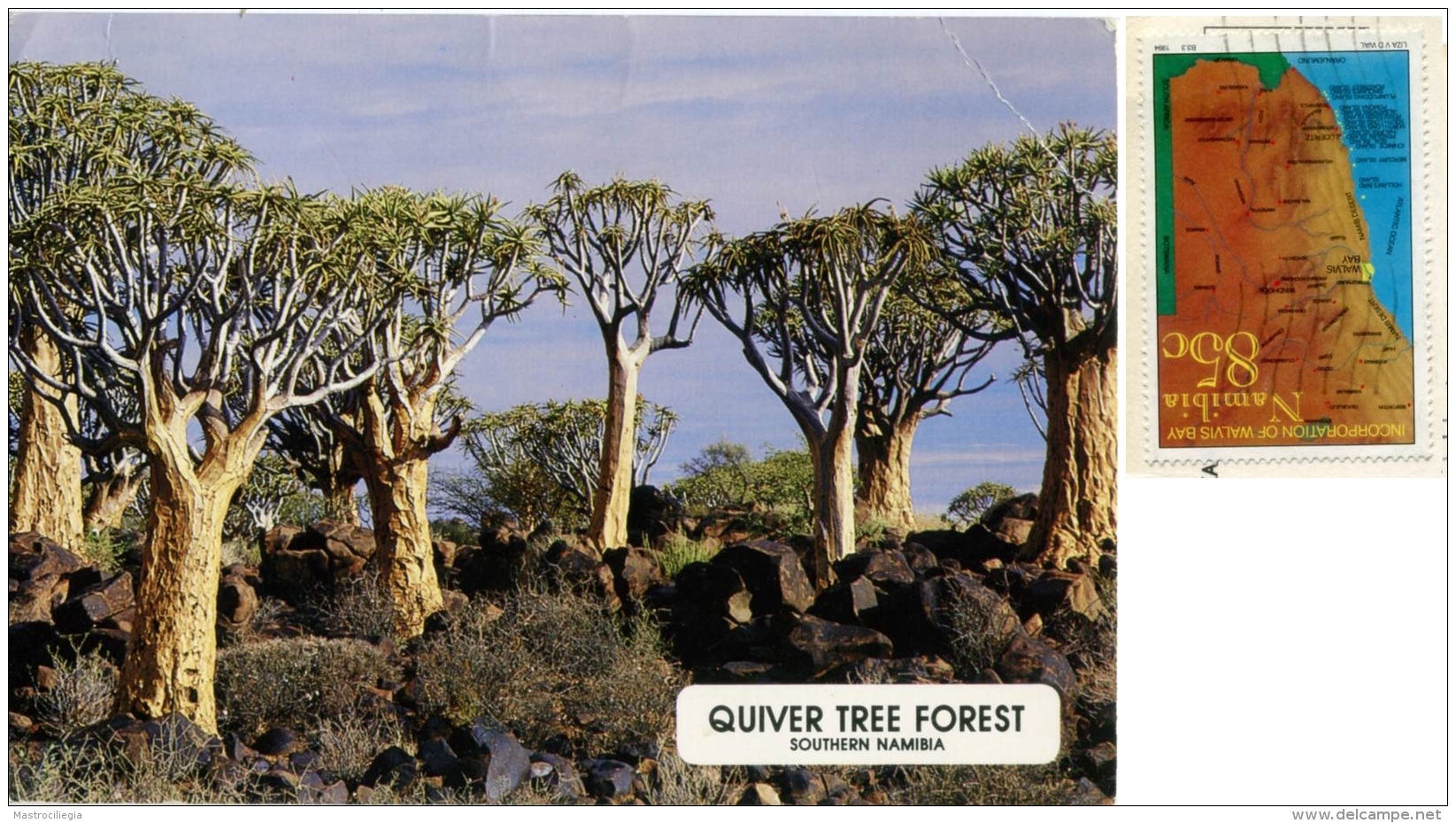 NAMIBIA  Quiver Tree Forest  Nice Stamp - Namibië