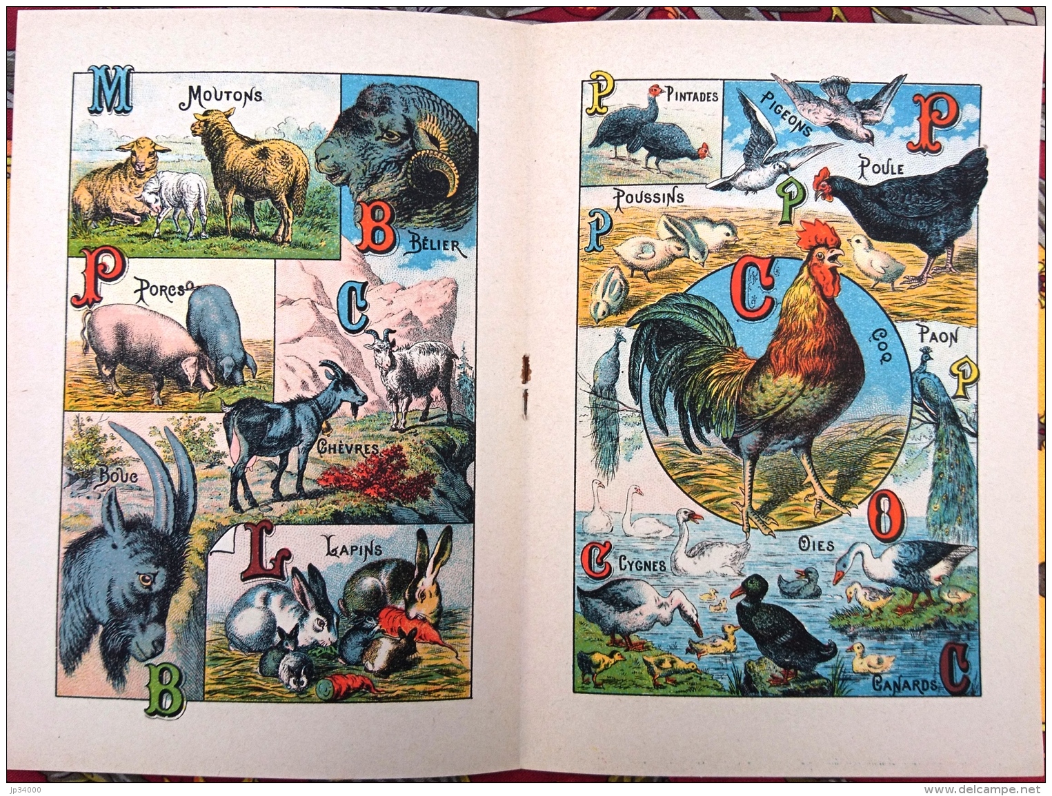 ALPHABET SYLLABAIRE DES ANIMAUX DOMESTIQUES Et De BASSE COUR. Série A. Images épinal - Animali