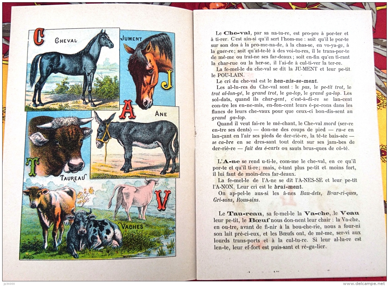 ALPHABET SYLLABAIRE DES ANIMAUX DOMESTIQUES Et De BASSE COUR. Série A. Images épinal - Tiergeschichten