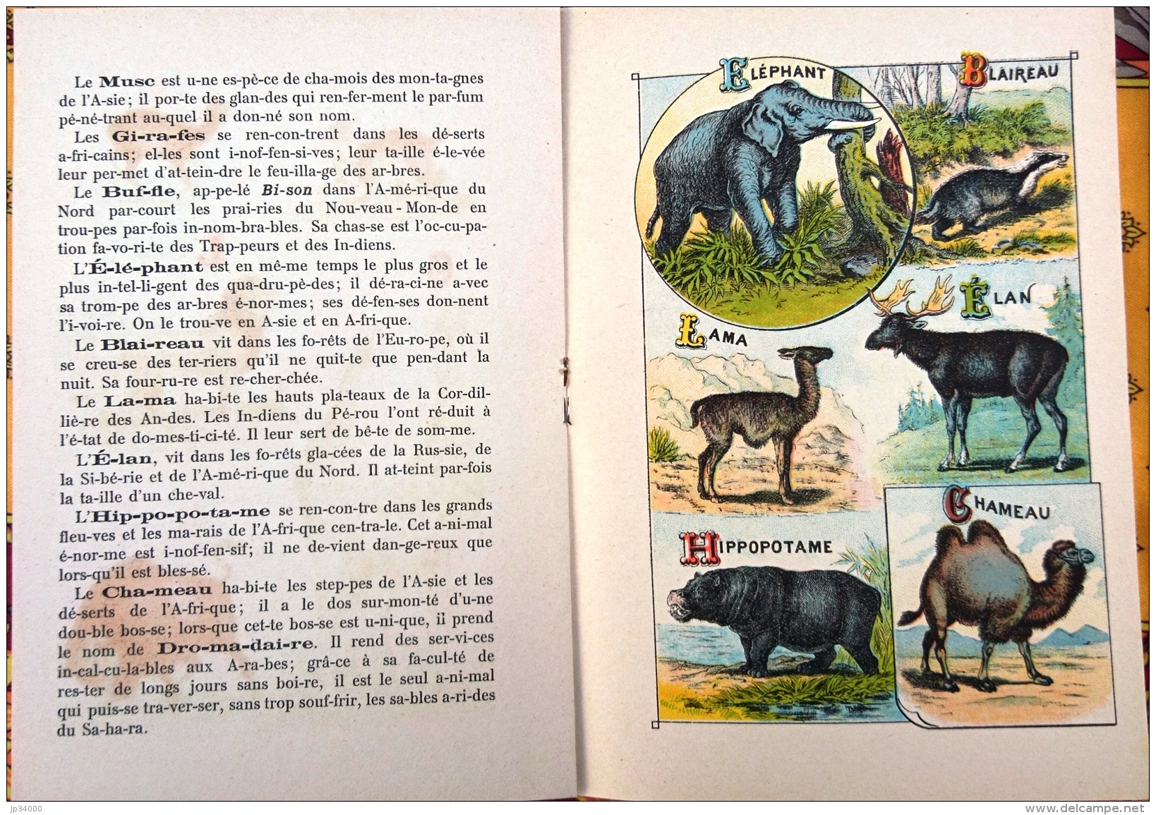 ALPHABET SYLLABAIRE DES ANIMAUX SAUVAGES. Série A. Images épinal - Dieren