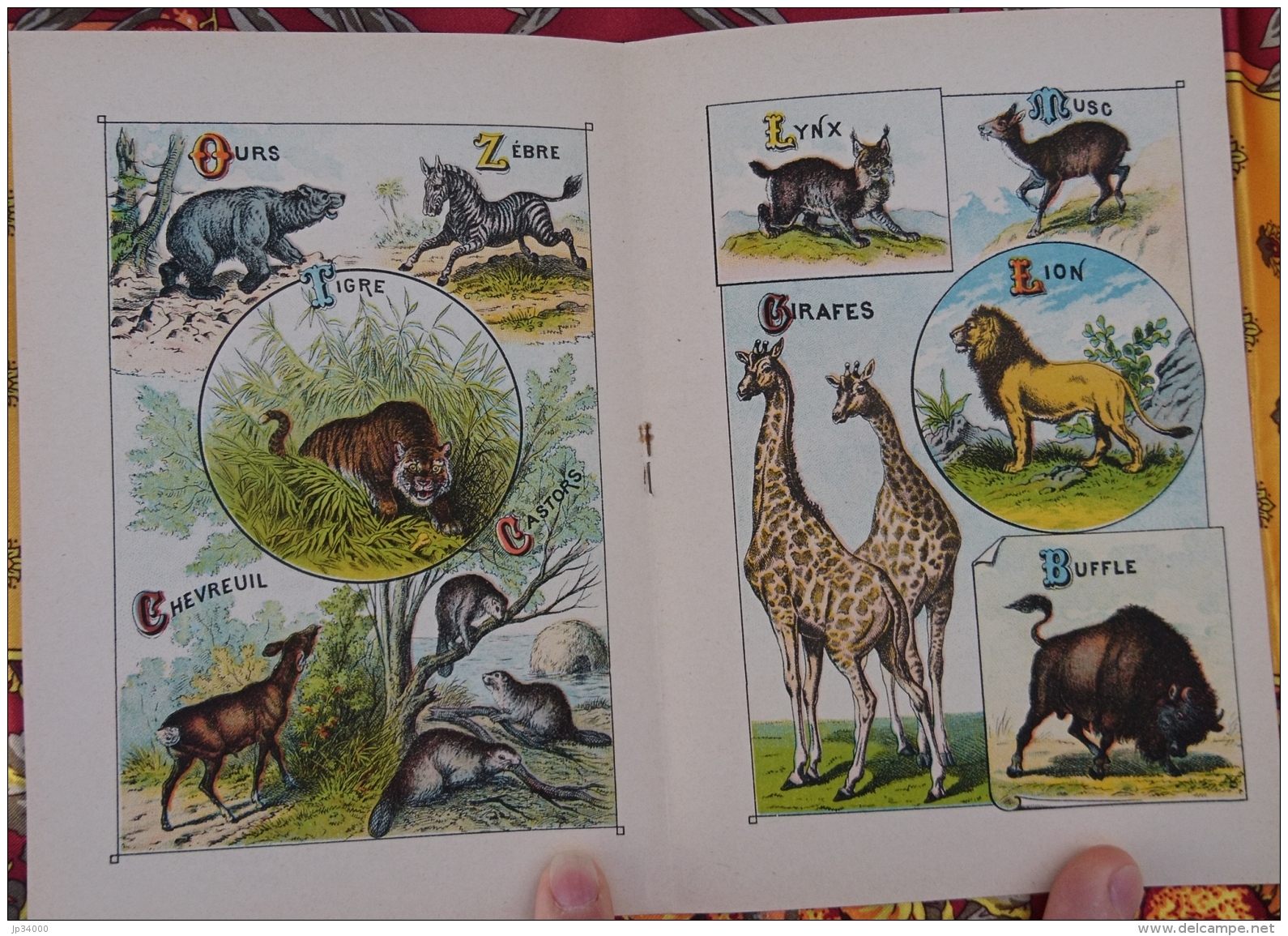 ALPHABET SYLLABAIRE DES ANIMAUX SAUVAGES. Série A. Images épinal - Tiergeschichten