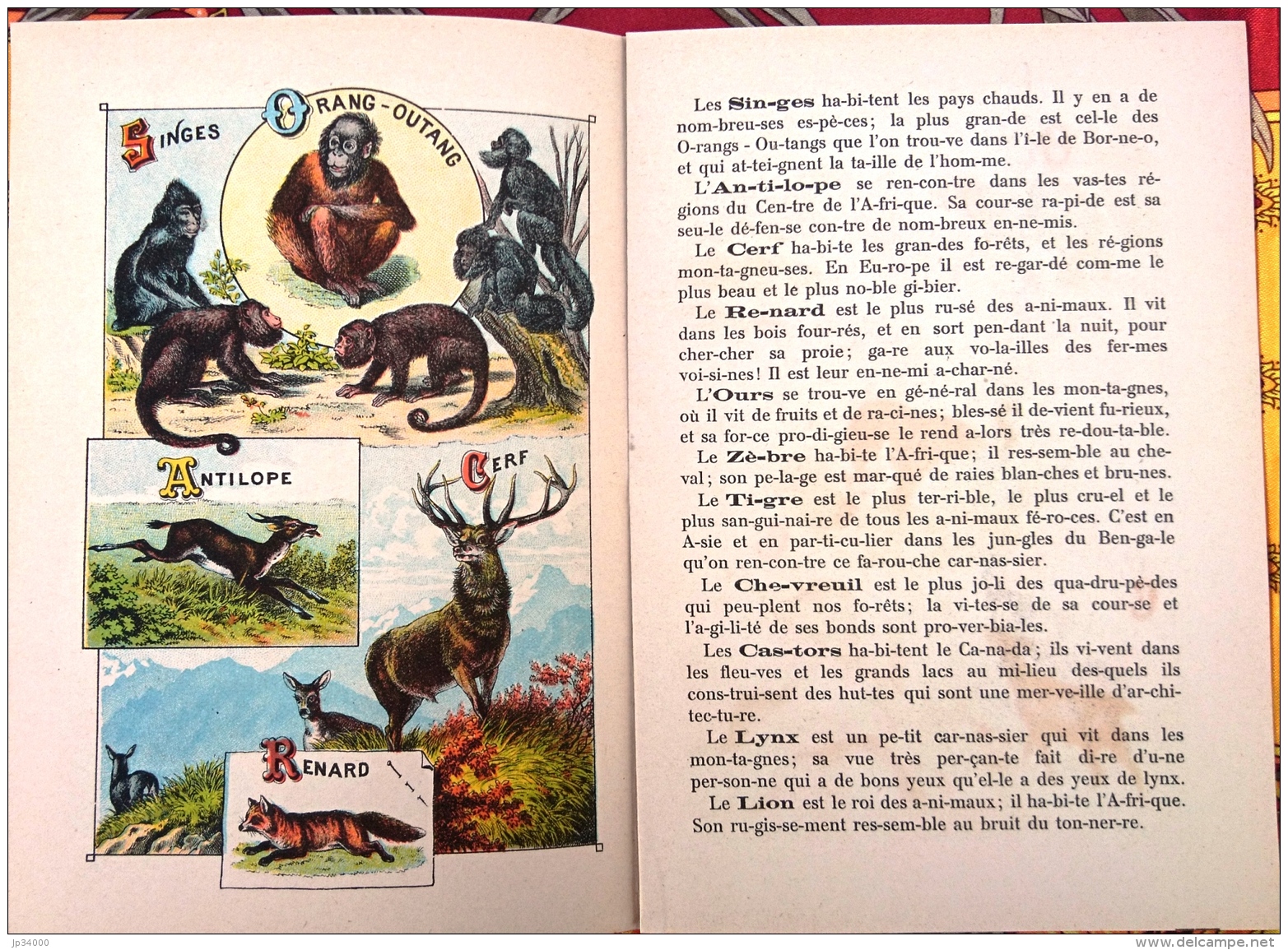 ALPHABET SYLLABAIRE DES ANIMAUX SAUVAGES. Série A. Images épinal - Animals