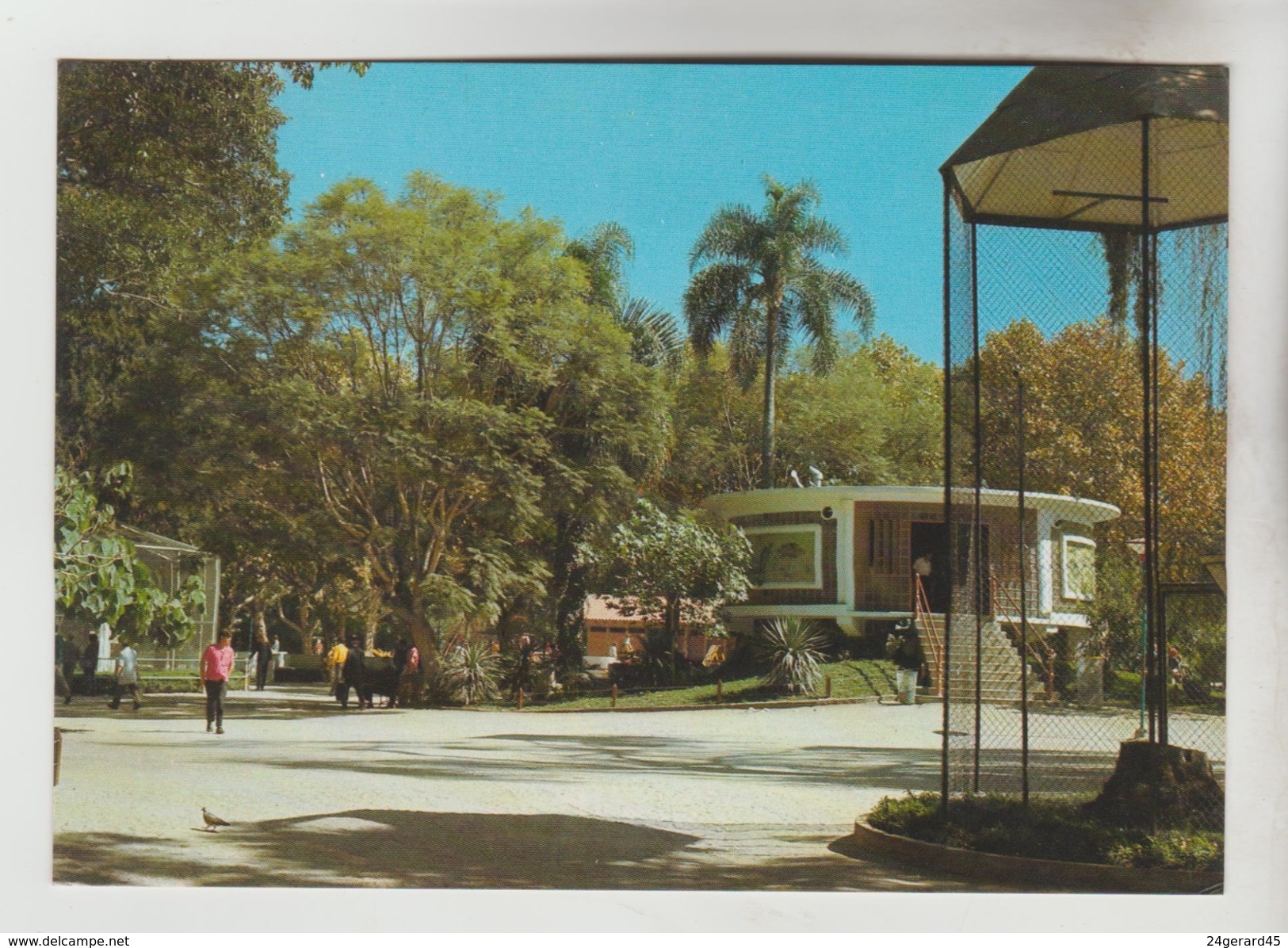 3 CPM CURITIBA (Brésil) - Vue Nocturne De La Ville, Passeio Publico, Faculté De Mèdecine Du Parana - Curitiba