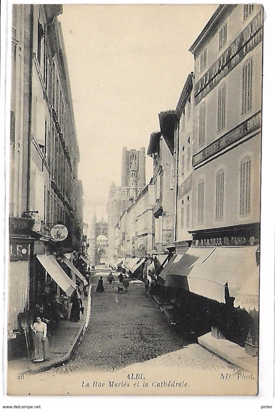 ALBI - La Rue Mariés Et La Cathédrale - Albi