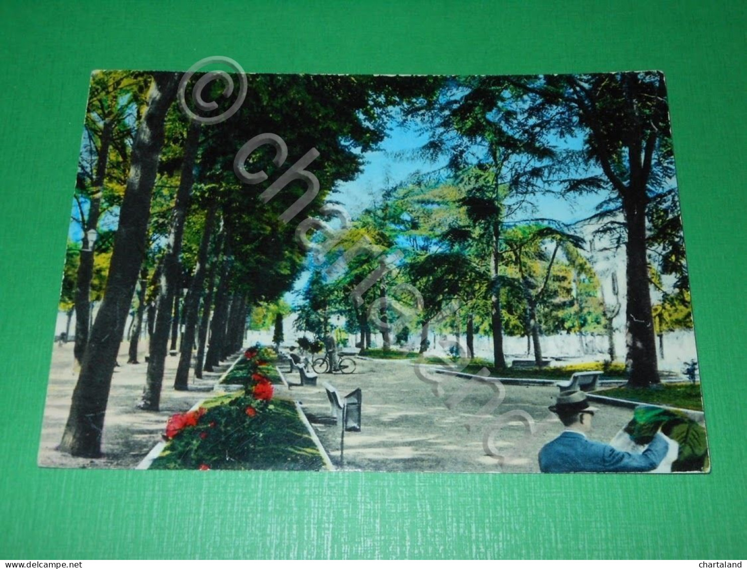 Cartolina Correggio - Giardini Pubblici 1965 ( N. 1 ) - Reggio Nell'Emilia