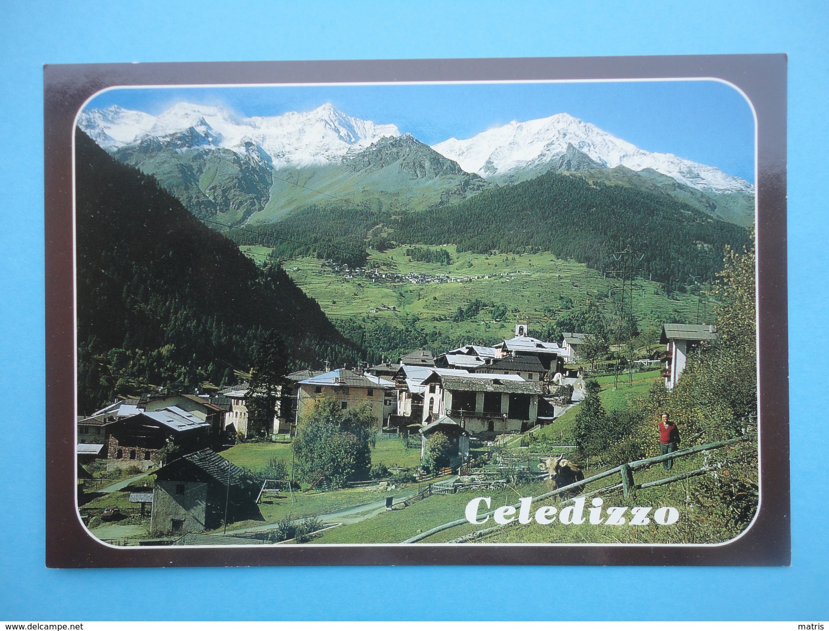 Celedizzo - Pejo - Trento - Val Di Sole - Panorama - Trento