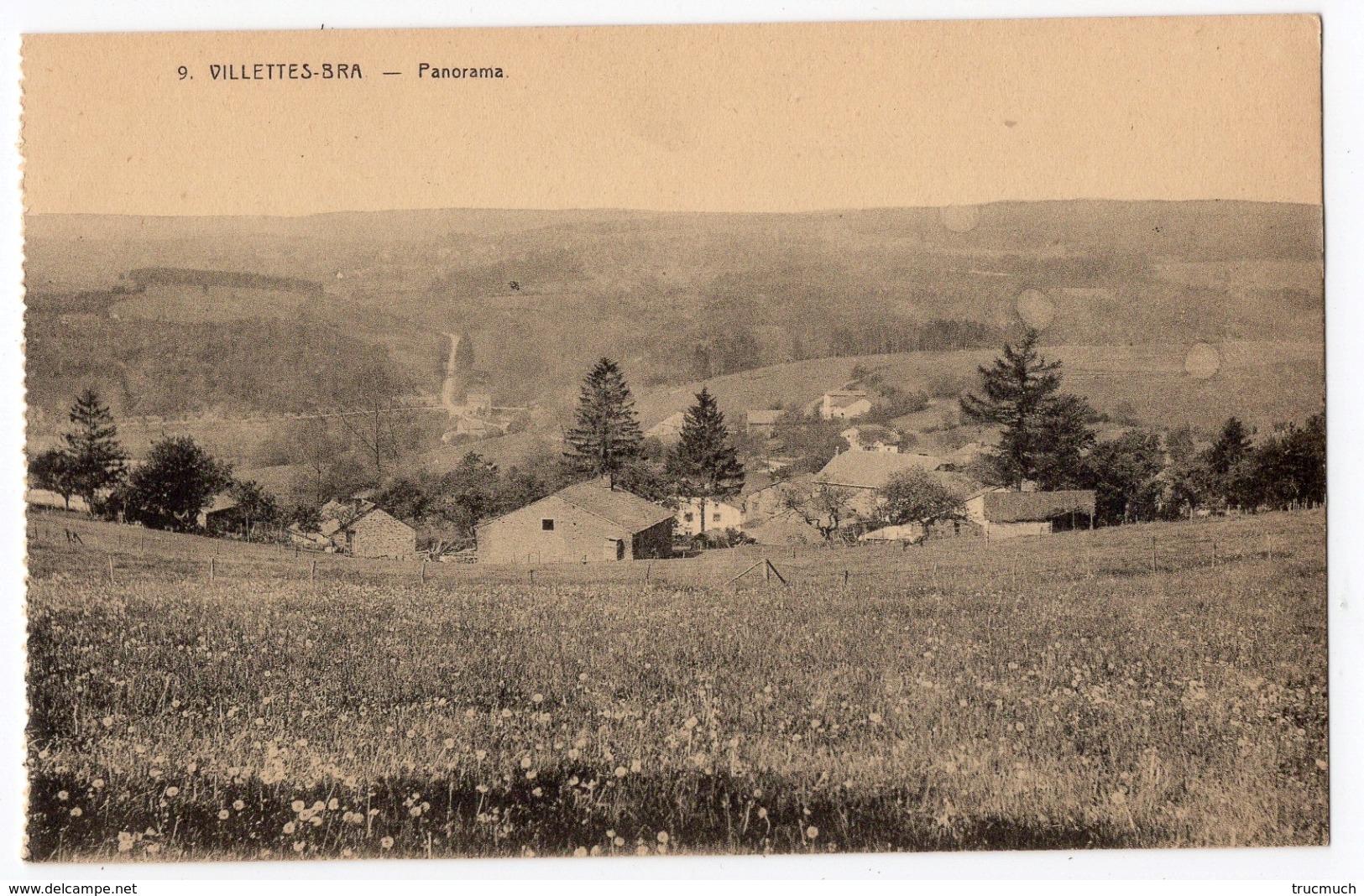 7 - BRA - SUR - LIENNE  -   VILLETTES   -   Panorama - Lierneux