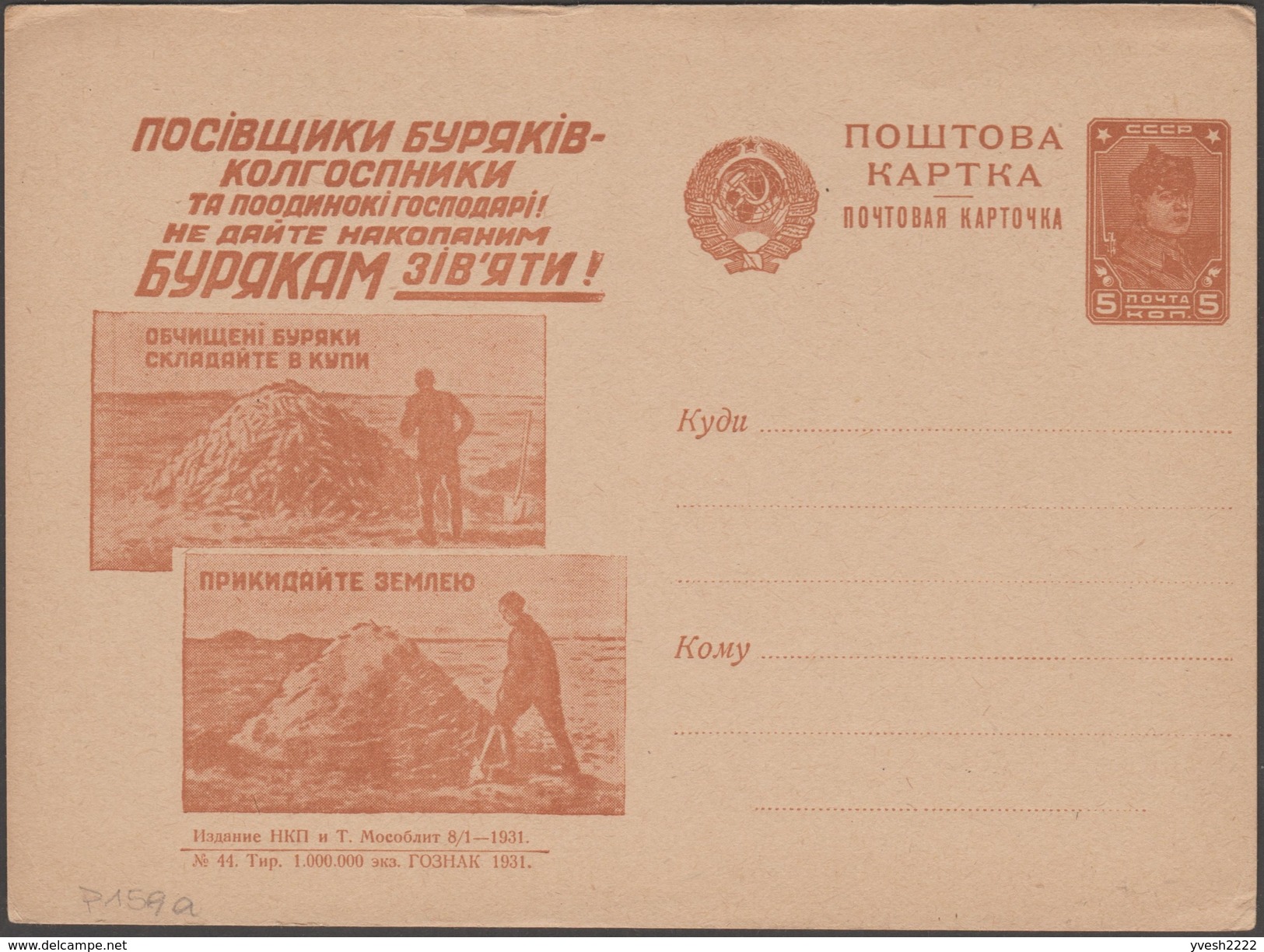 URSS 1931. Carte Postale De Propagande : Nettoyage Des Betteraves, Enlever La Terre - Agriculture