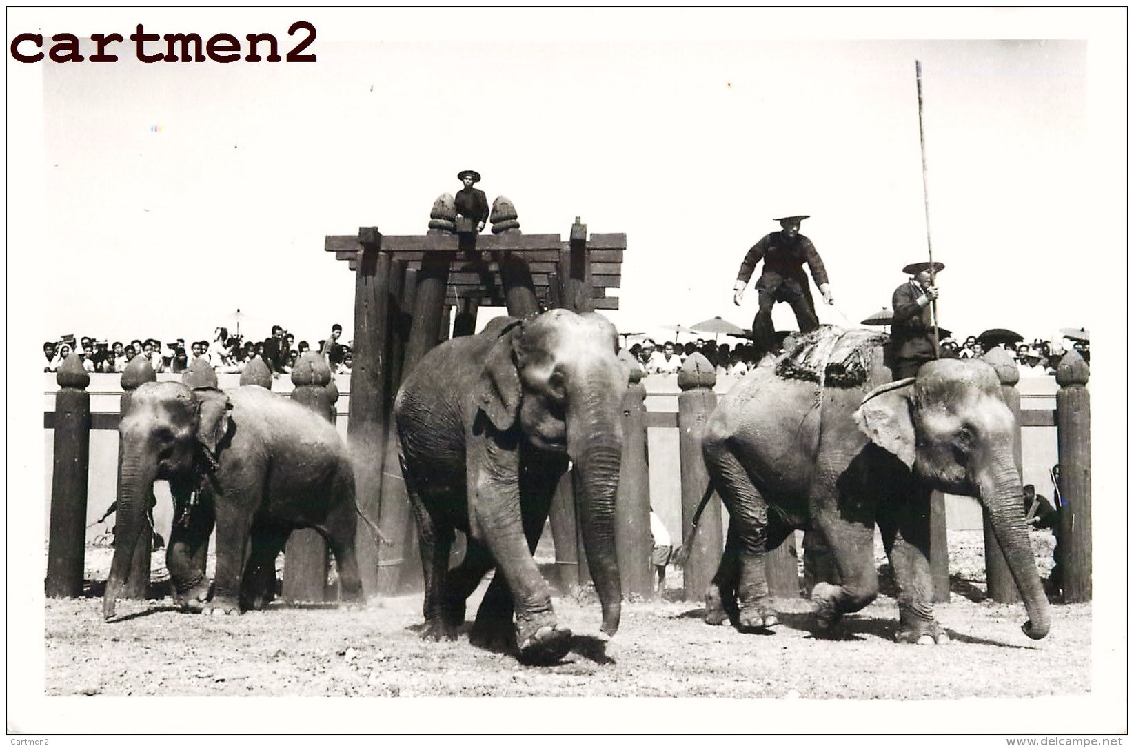 AYUTTHAYA THAILANDE SIAM OLD CARD PHOTO KING PROCESSION ?  FETE DU ROI ? ELEPHANT THAILAND ASIE - Thaïlande