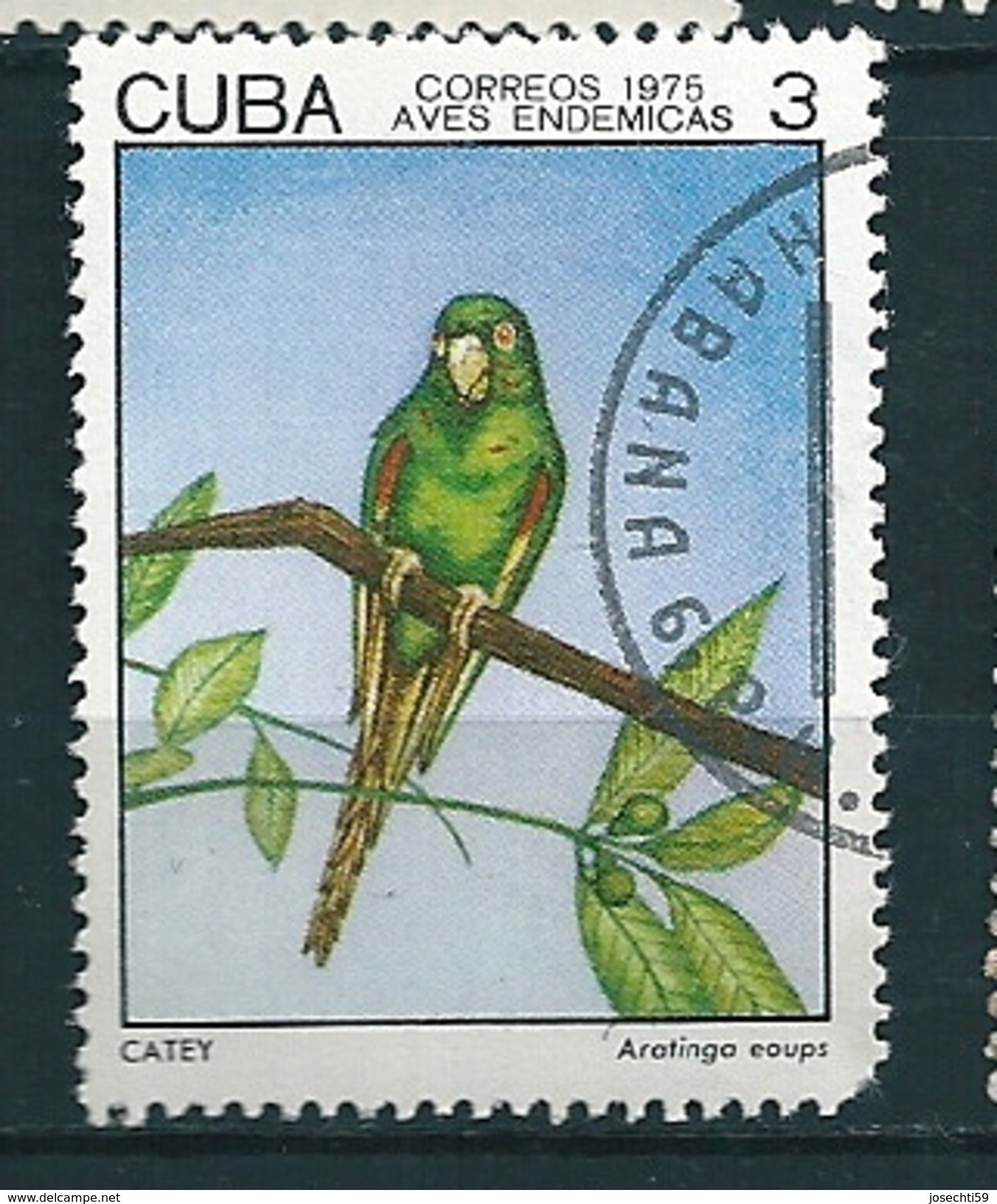 N° 1855 Aaratingaeoups Ara Timbre Cuba (1975) Oblitéré - Oblitérés